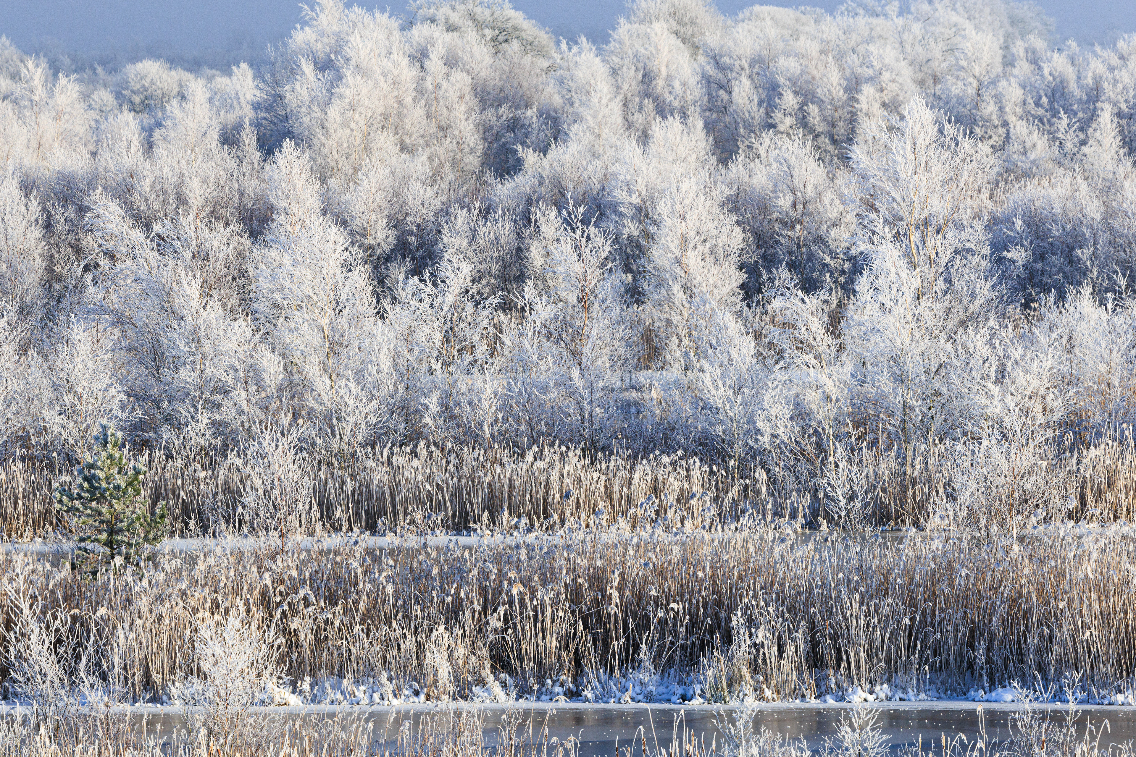 Rimfrost i Lille Vildmose. Gravebaner set fra Brandvagtstårnet