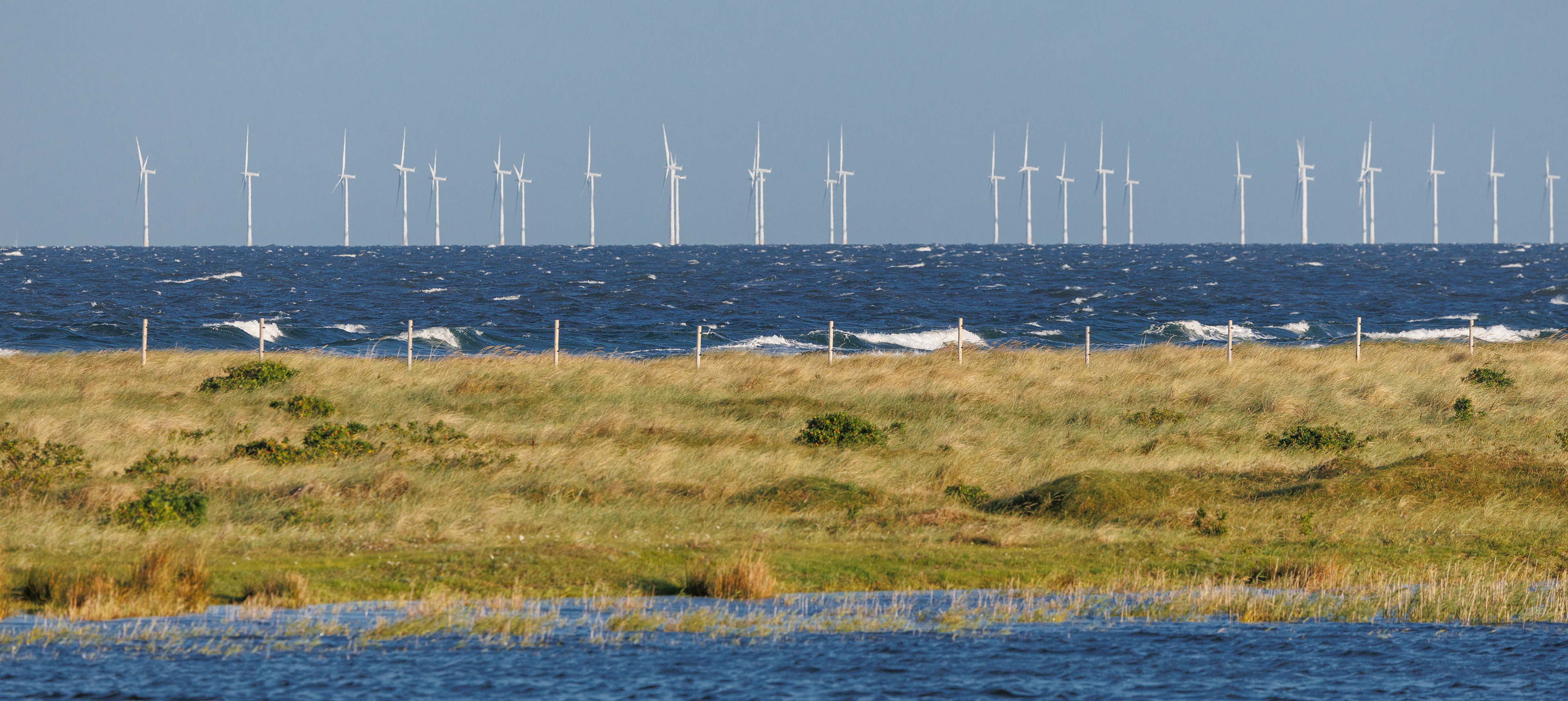 Udsigt over Flommen mod vindmøller i Øresund