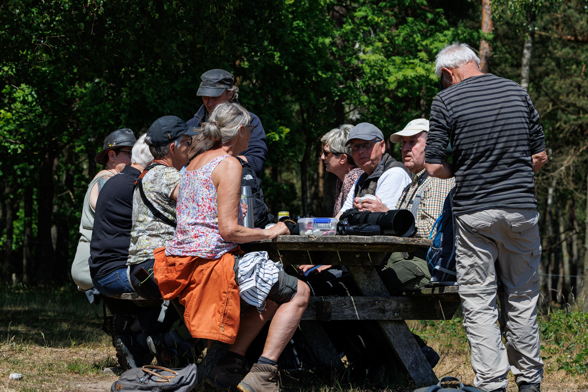 Frokost ved Stubbe Sø