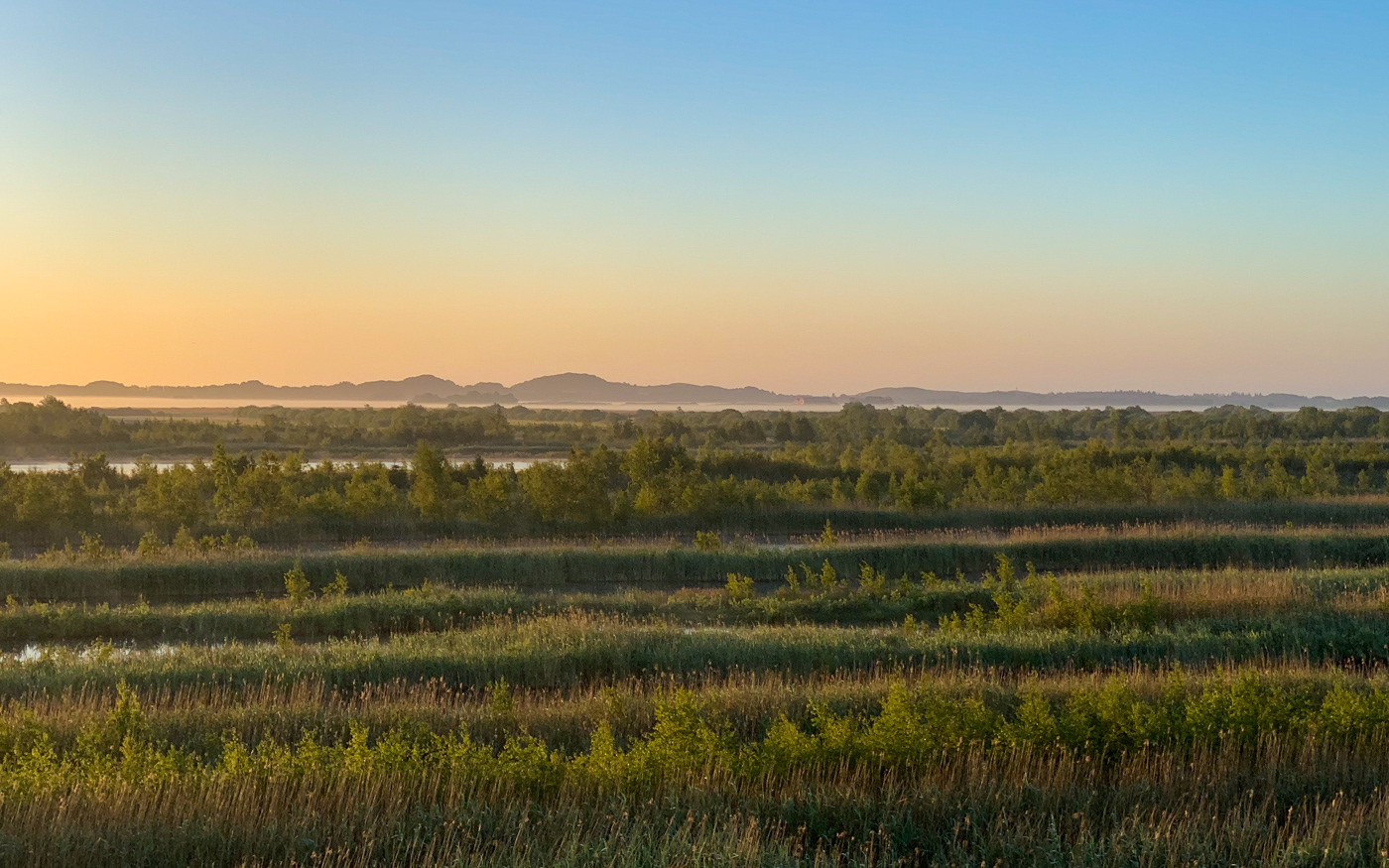 Udsigt overgravebanerne. I det fjerne er mulbjergene og bag dem Kattegat