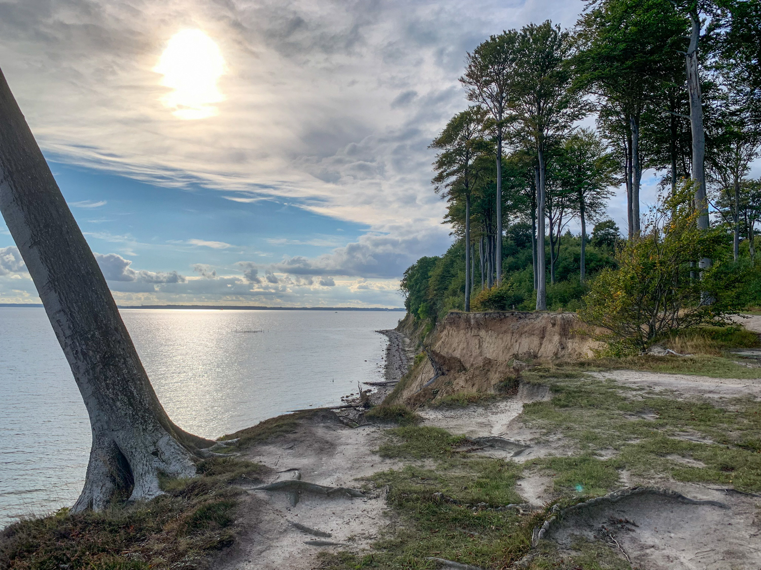 Parti fra vandretur på Gendarmstien - Sønderskoven, Als