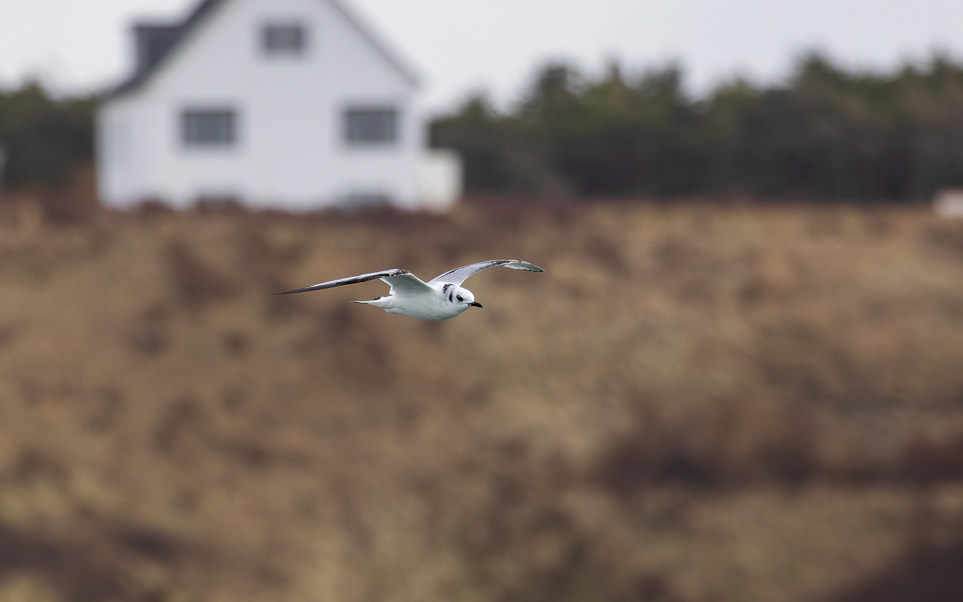 Ride i Hanstholm Havn