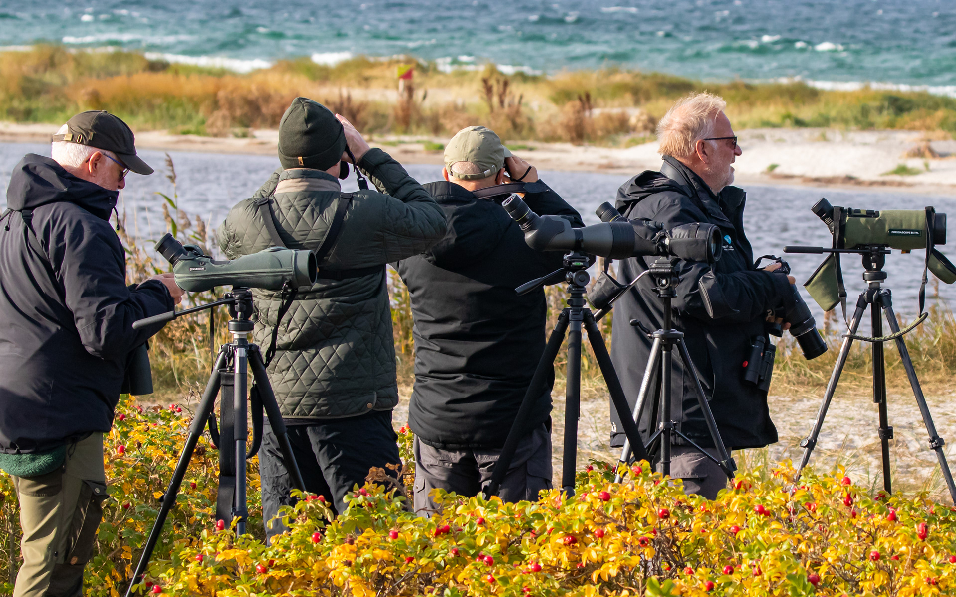 Fokuserede fuglekigger på Nabben - Falsterbo