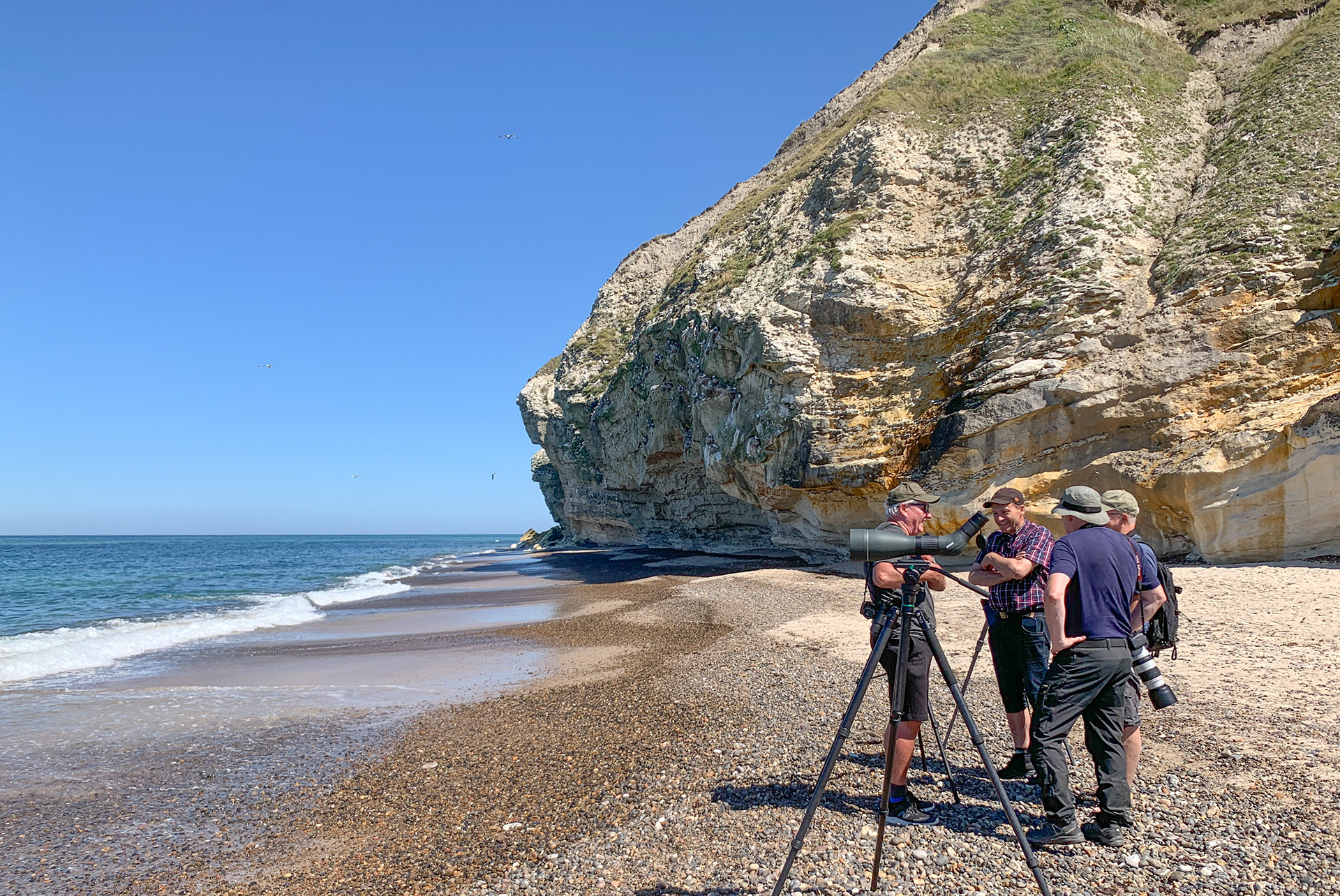 Fugletur til Bulbjerg