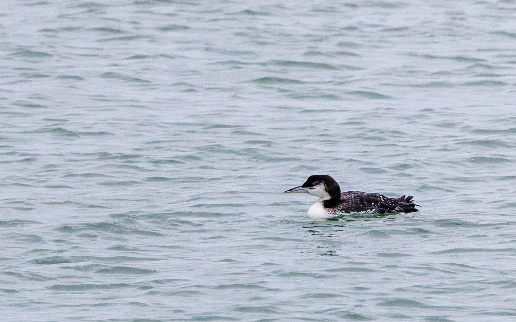 Islom i Hanstholm Havn