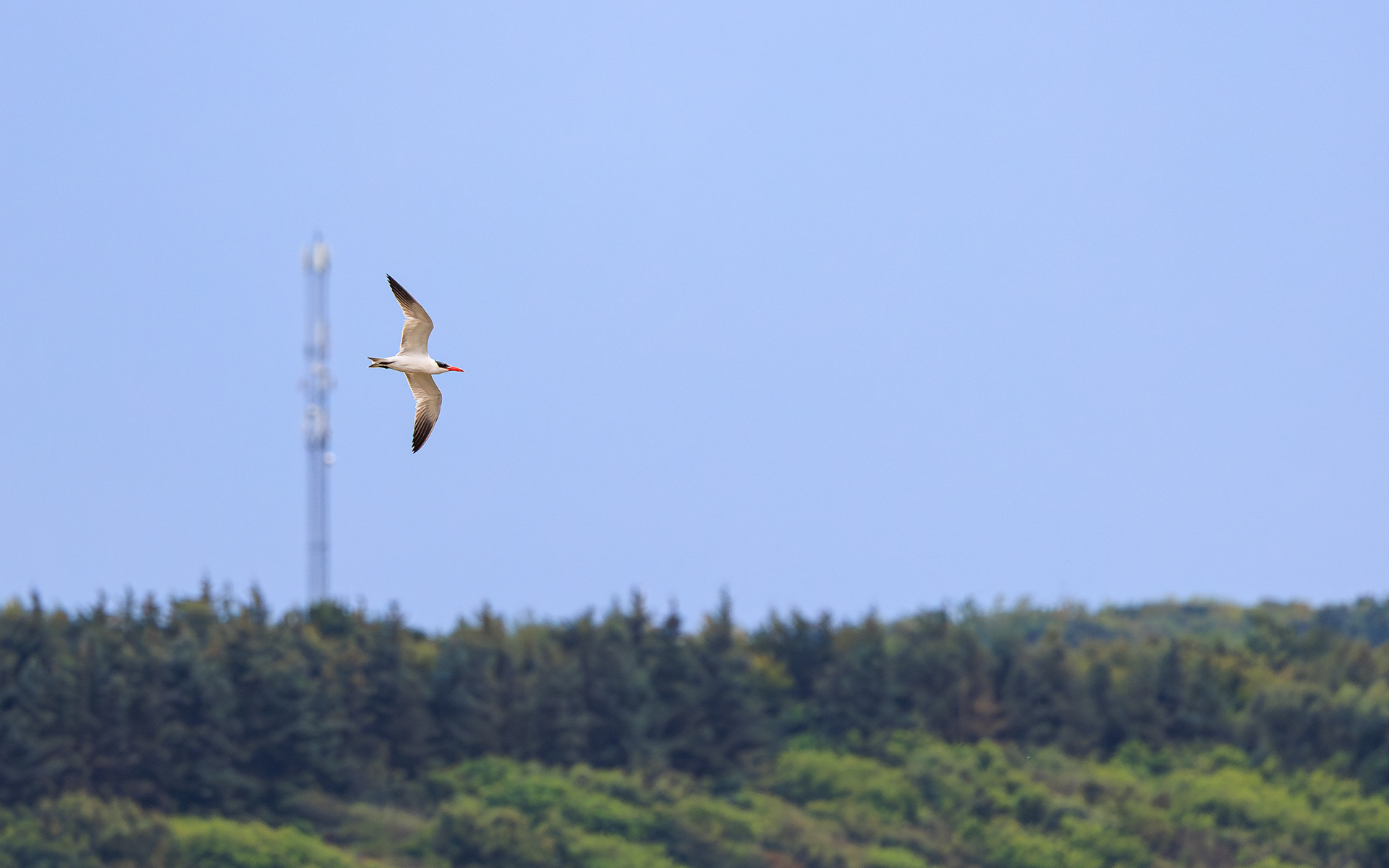 Rovterne. Fjorden ud for Sønder Lem Vig