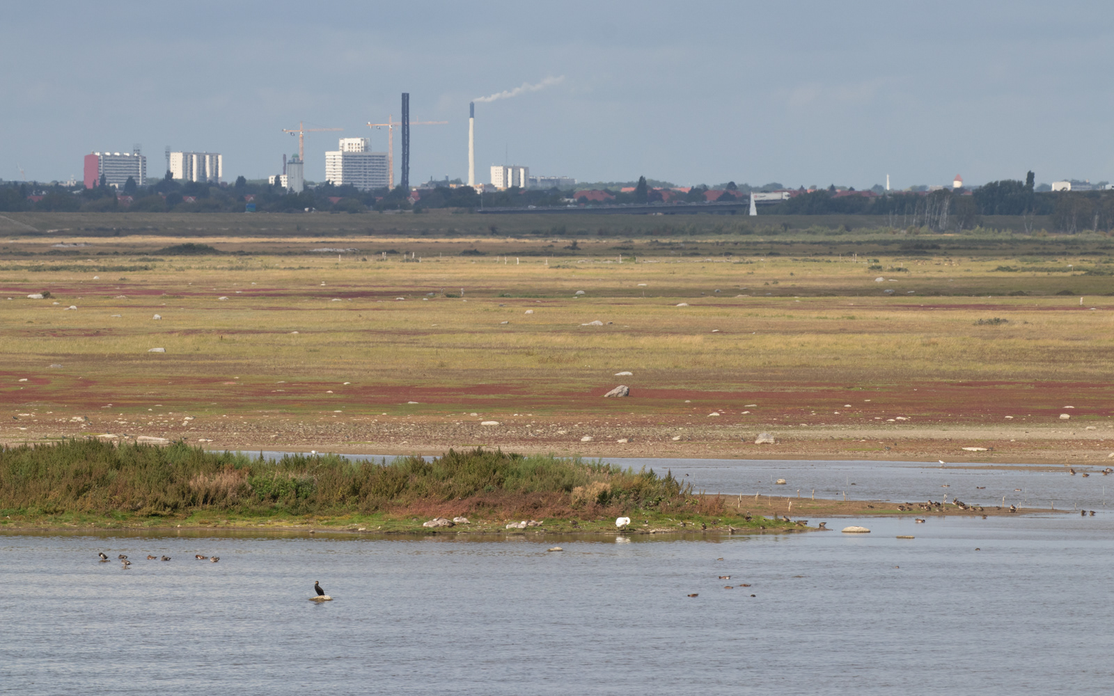 Besøg på Vestamager på hjemrejsen. Udsigt henover Klydesøen mod København