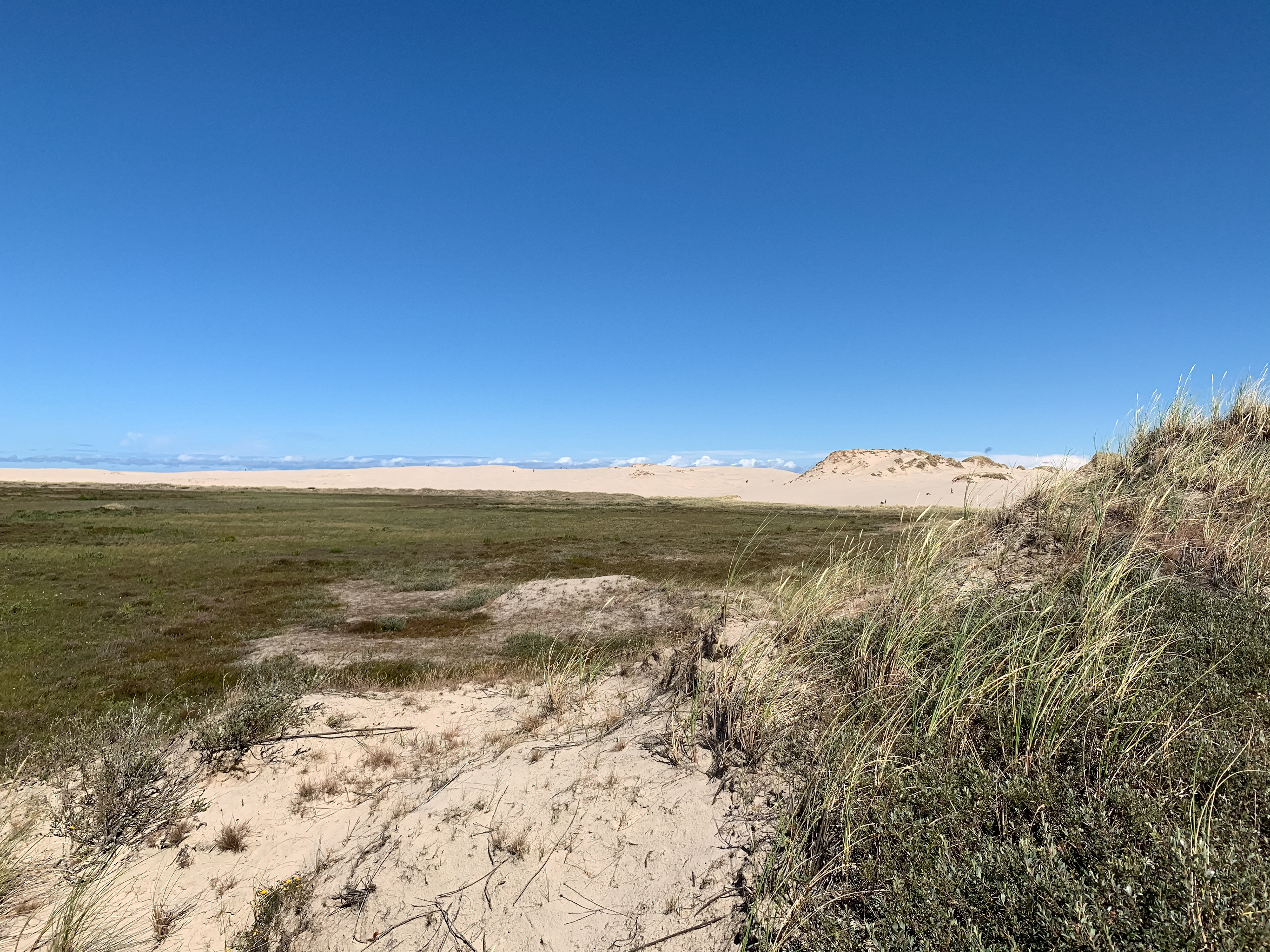 Raabjerg Mile - ved milens søndre ben. Set fra sydvest