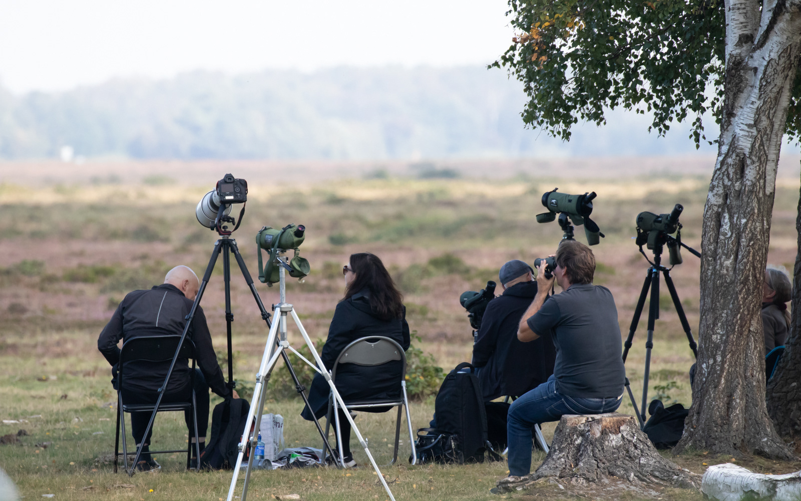 Behagelig fugleobservation på Ljungen