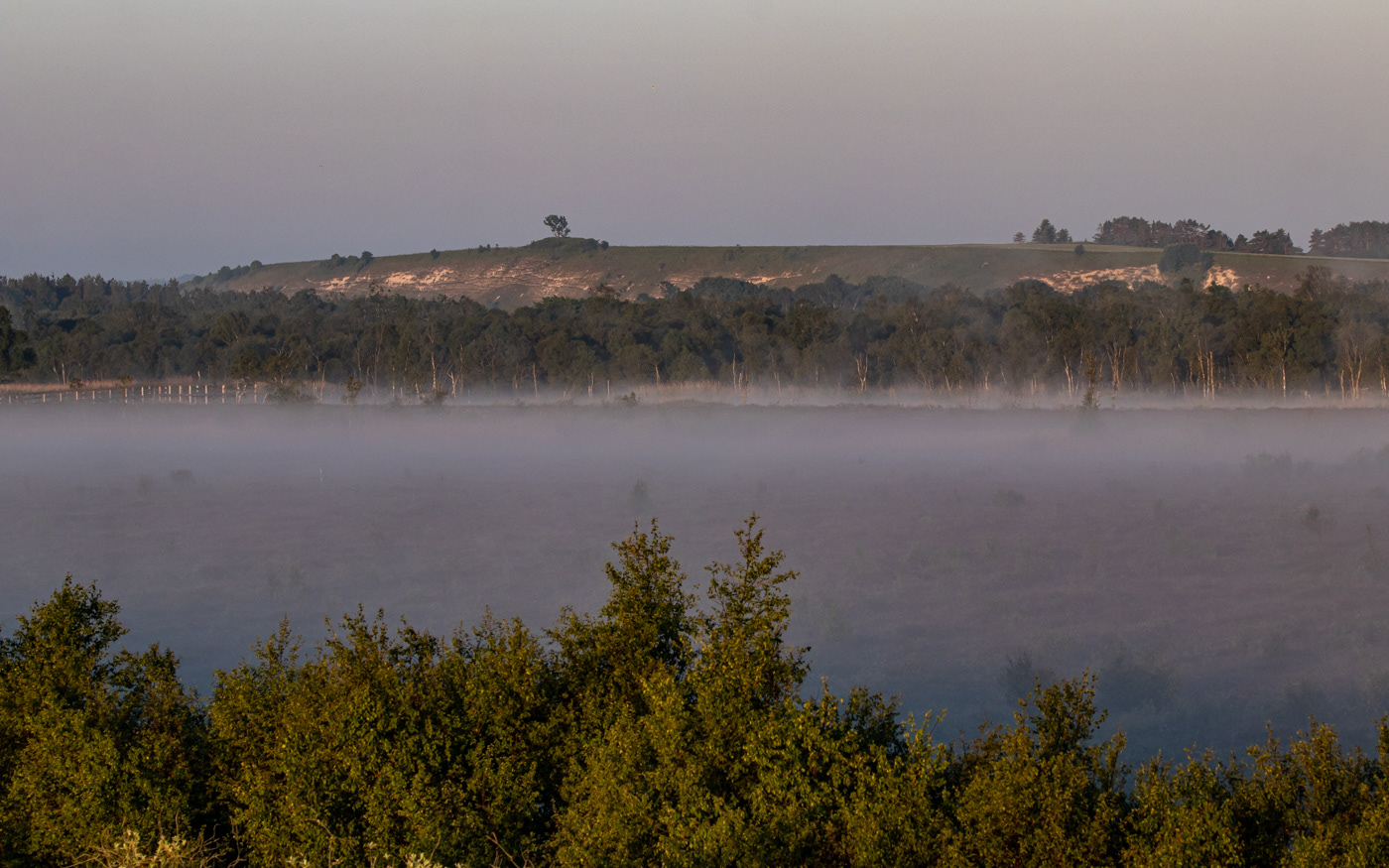 Udsigt fra Brandvagtstårnet over Portlandsmosen mod Kællingebjerg