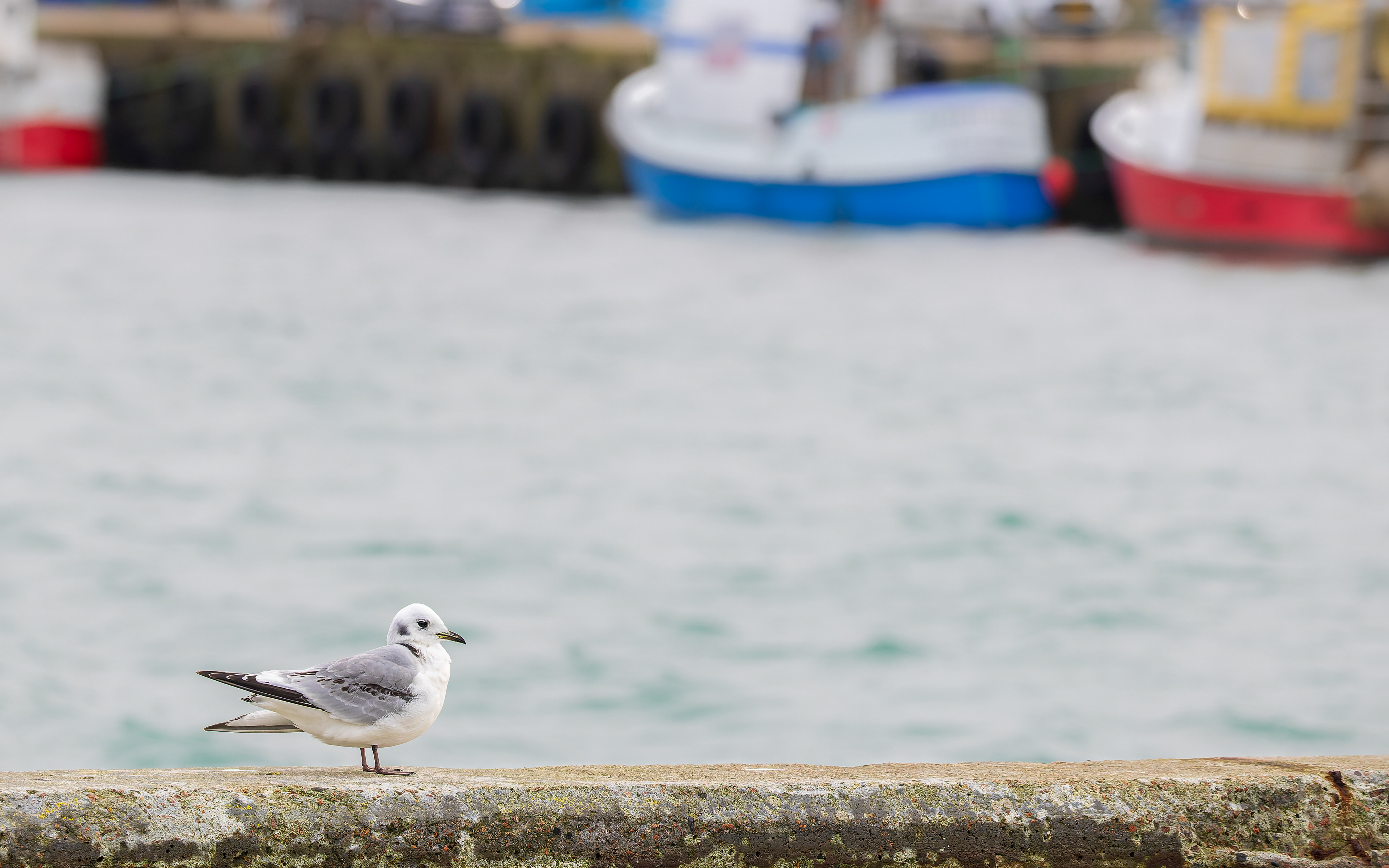 Ride i Hanstholm Havn