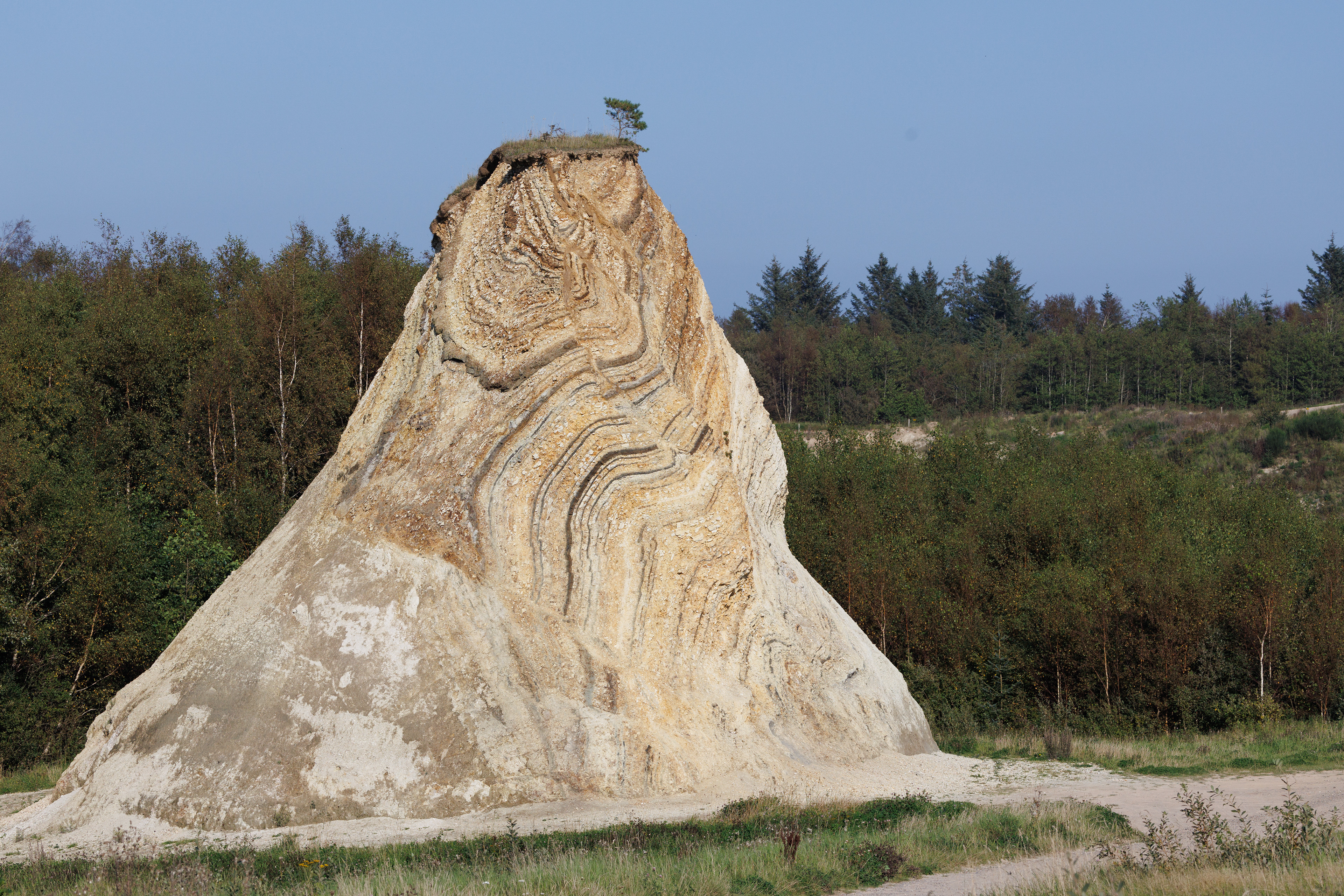 Bispehuen. Efterladt rest af moleraflejringerne i molergrav på Fur