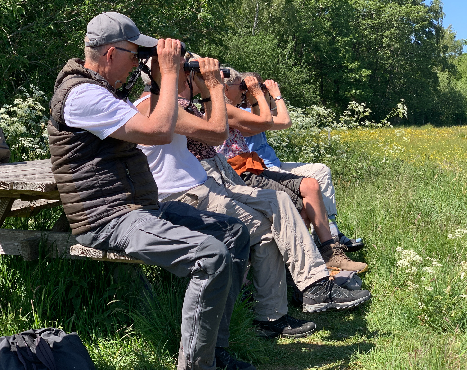 Fugl i sigte. Ved Stubbe Sø