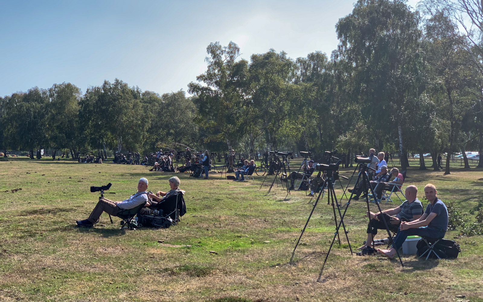 Behagelig fugleobservation på Ljungen