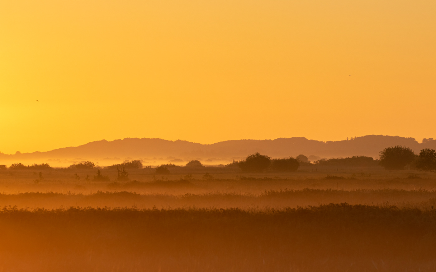 Morgendis i gravebanerne. Mulbjergene bagved
