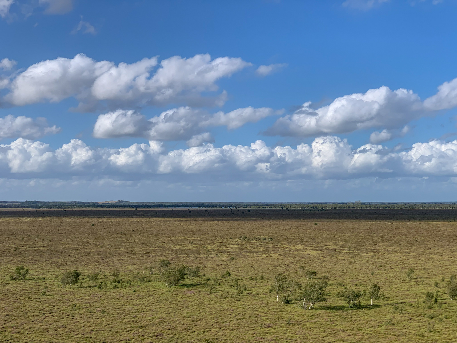 Udsigt fra tårnet i Tofte Skov. Kik mod nord med Kællingebjerg og Tofte Sø
