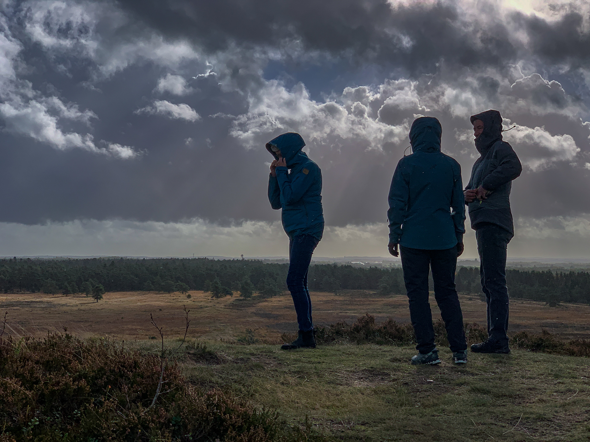 Blæsevejr på Isenbjerg - en spektakulær bakkeø på smeltevandssletten. Altså et vidnesbyrd om både den sidste og den næstsidste istid