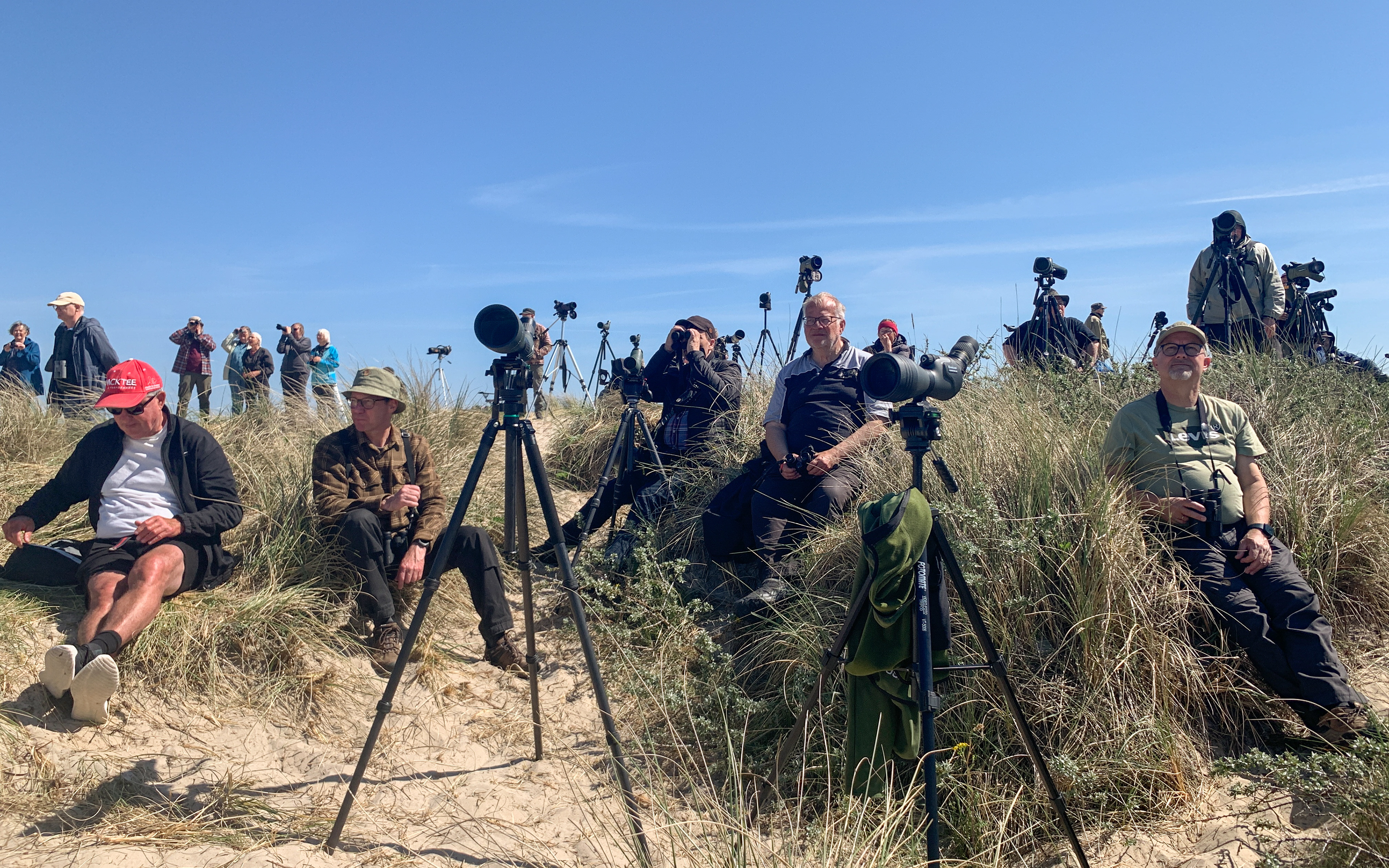 Aages venner og andre fuglekiggere. Forårstræk i Skagen