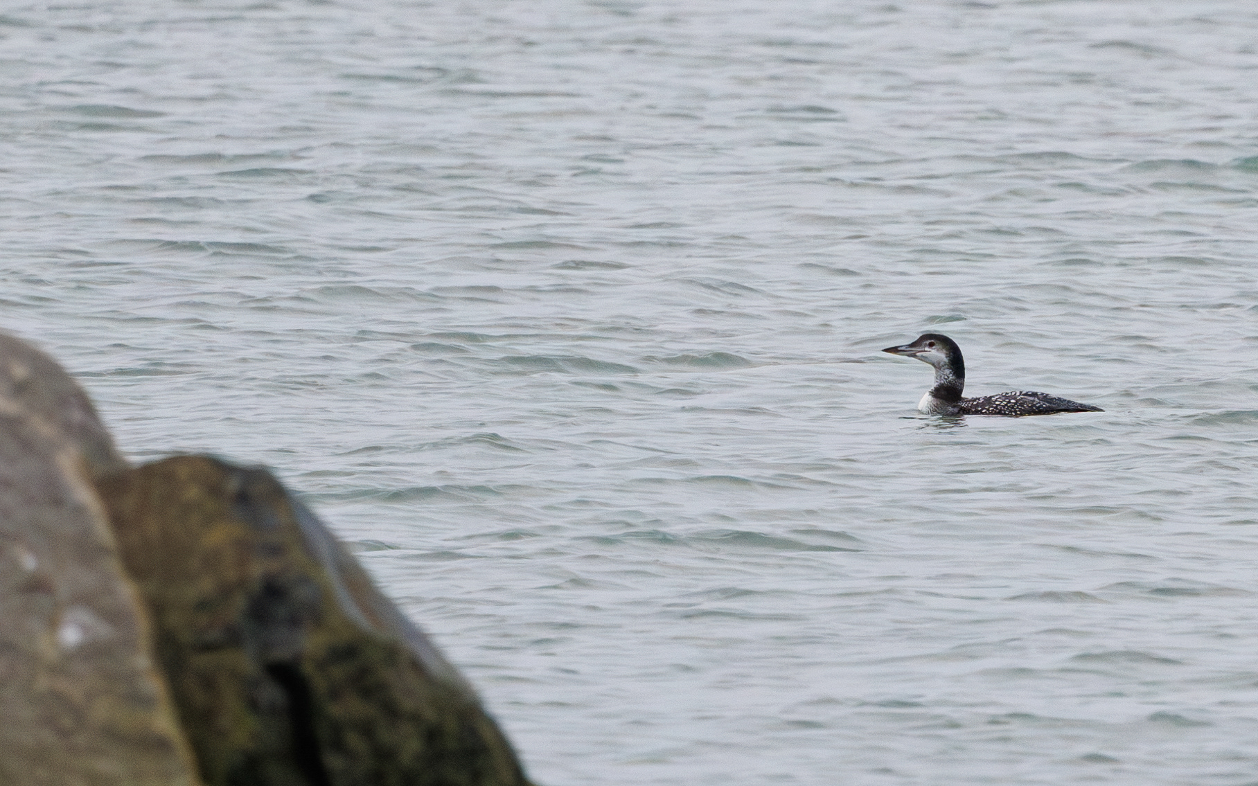 Islom i Hanstholm Havn