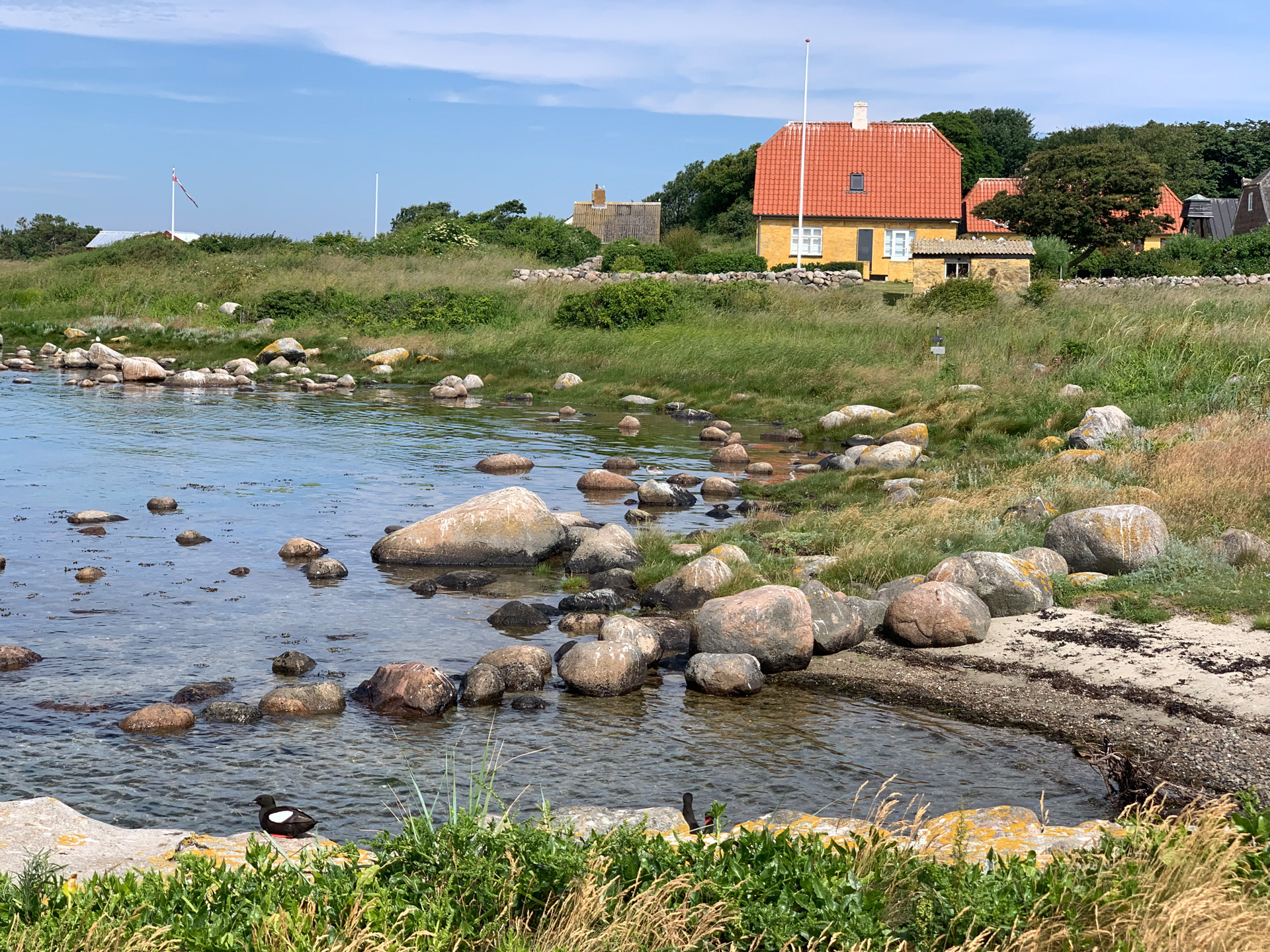 Hirsholmene