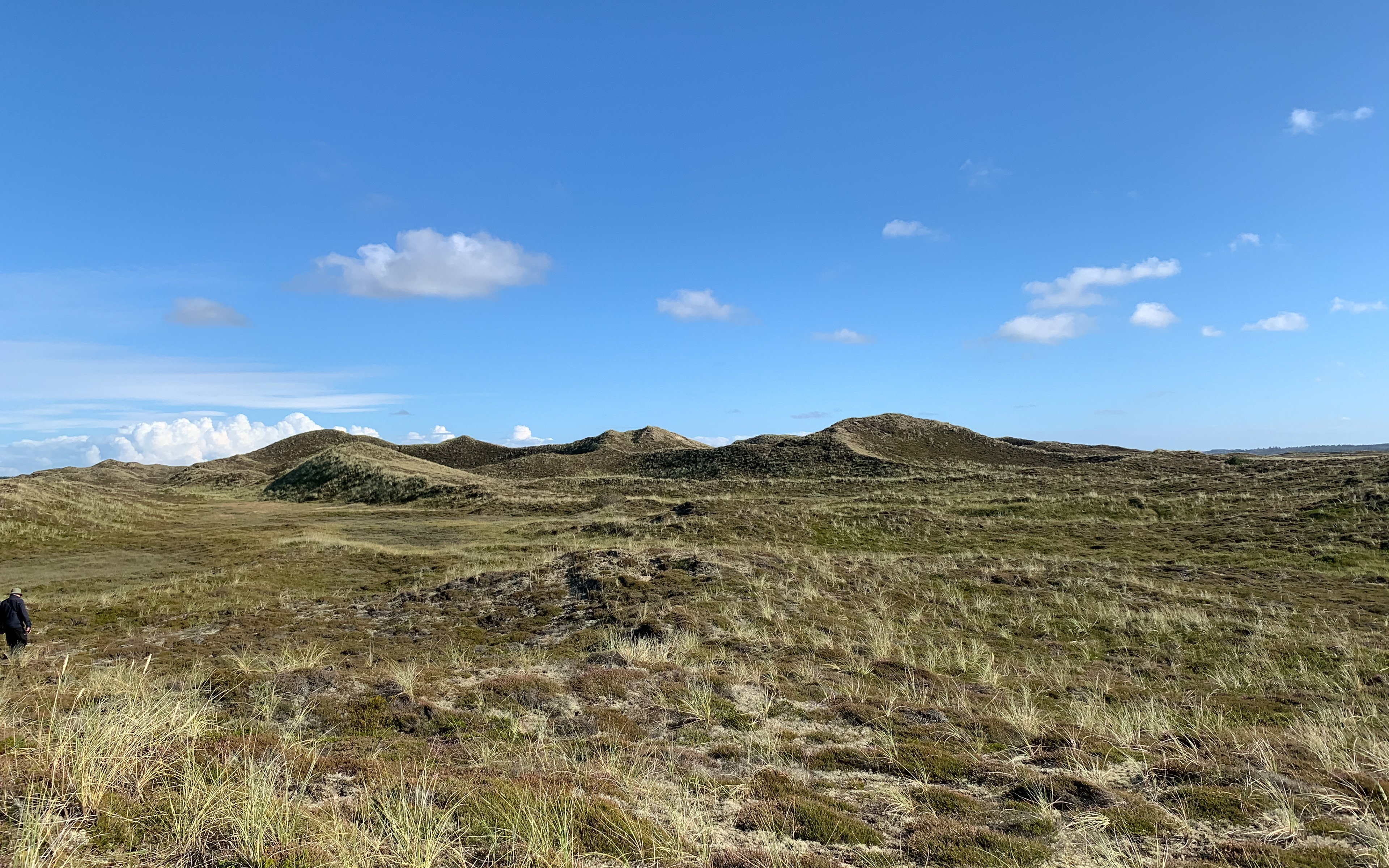 Risbjerge i Hanstholm Vildtreservat