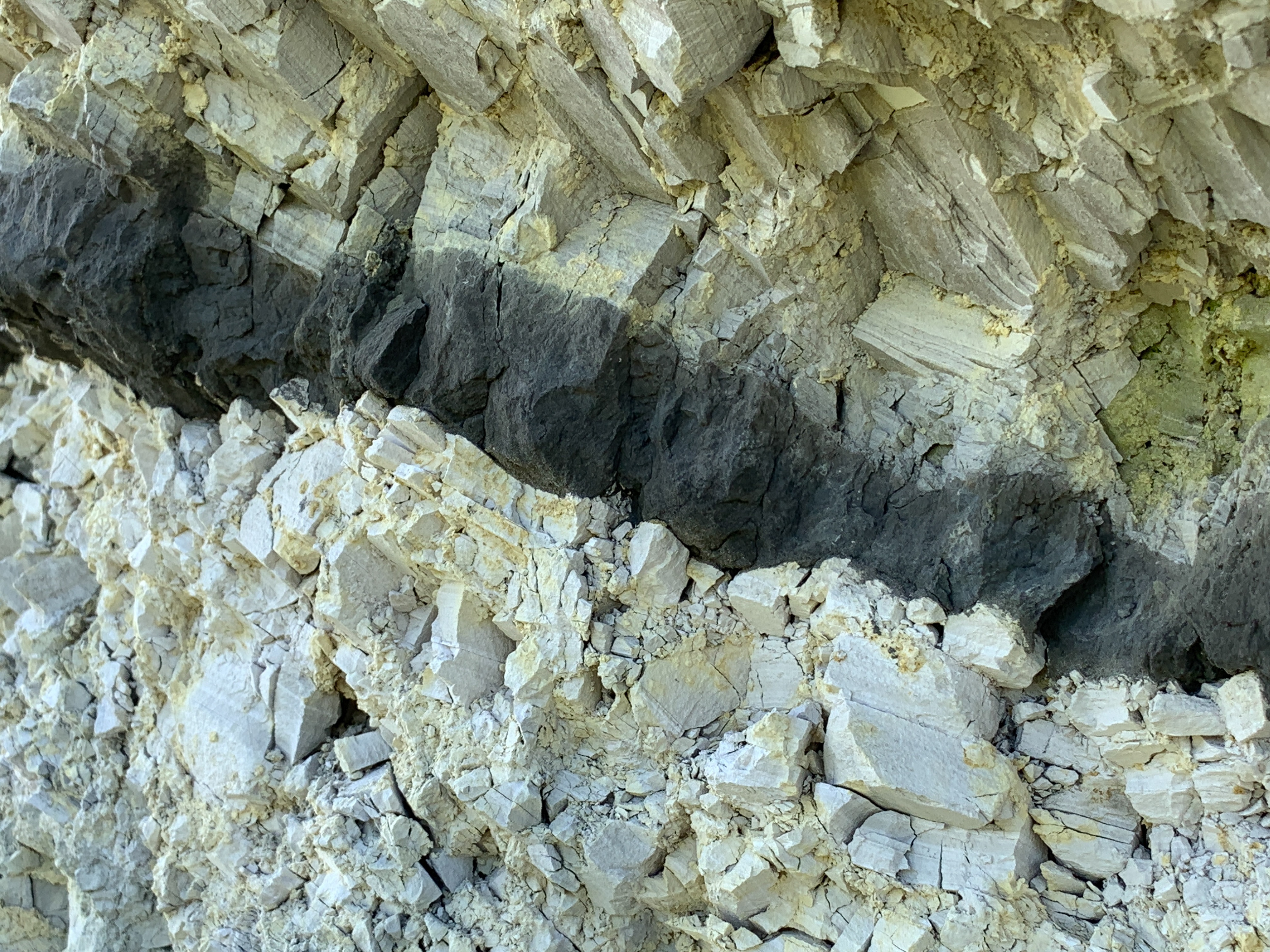 Vulkansk askelag i moleret. Fur