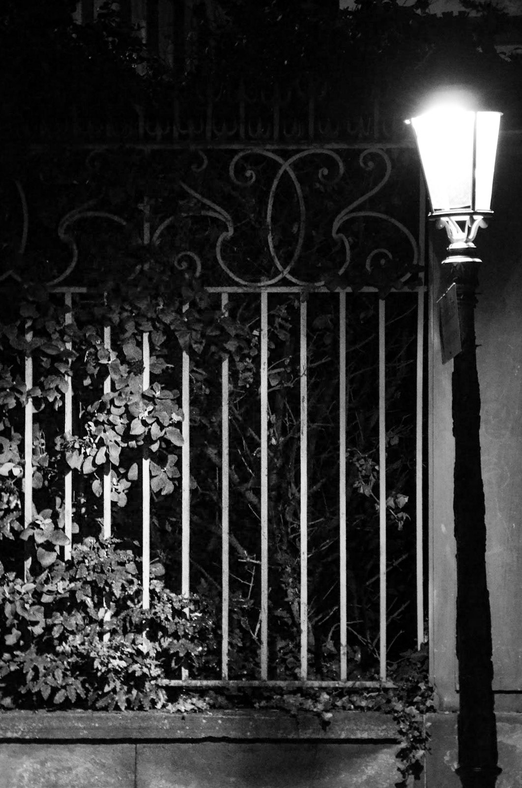 Black night