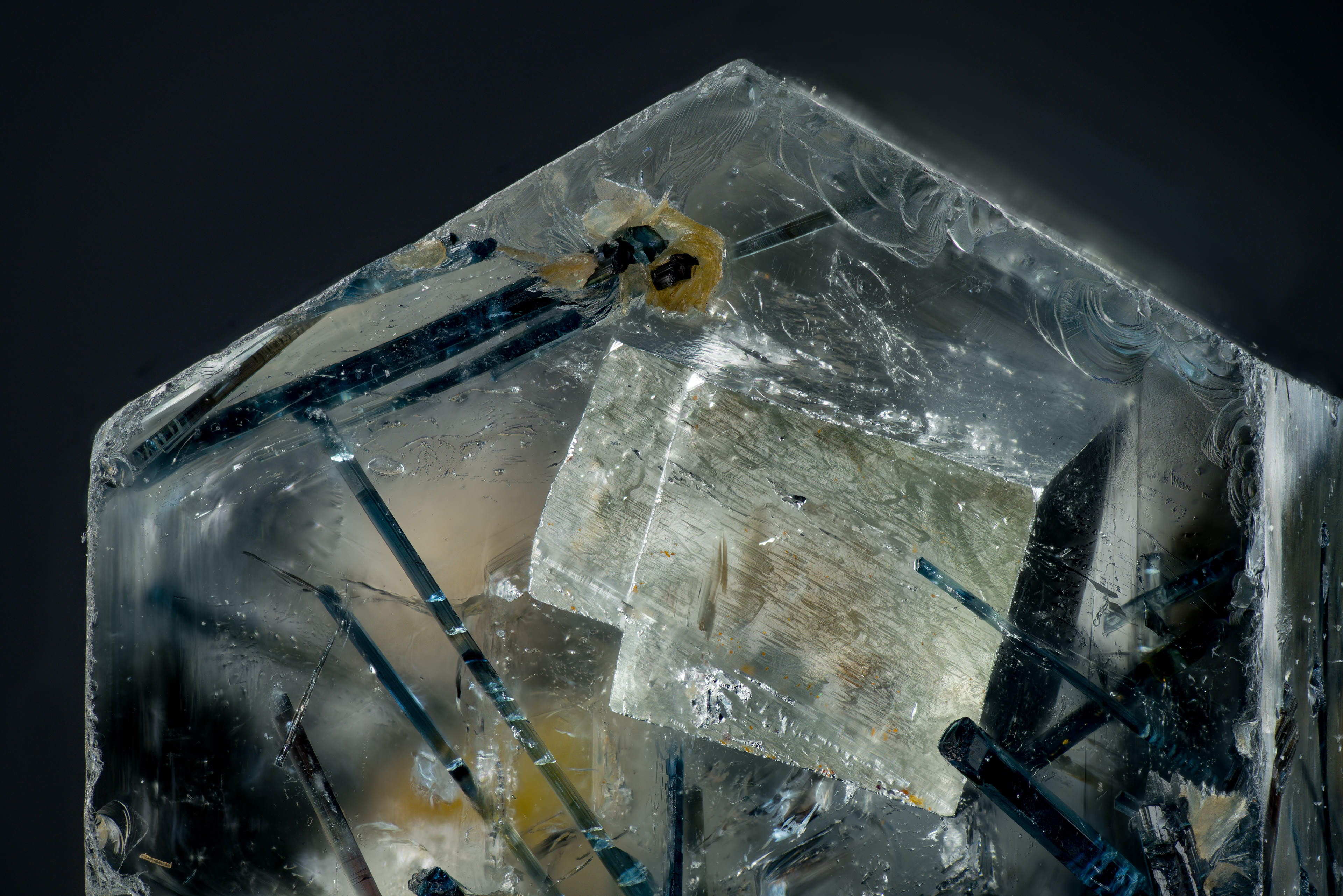 Jason B. Smith photo