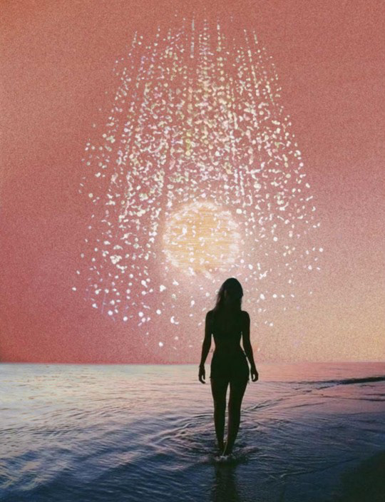 HHEININGE - Nightingale (December 5, 2021)