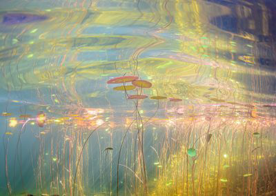 Eiko Jones - Under Monet 12