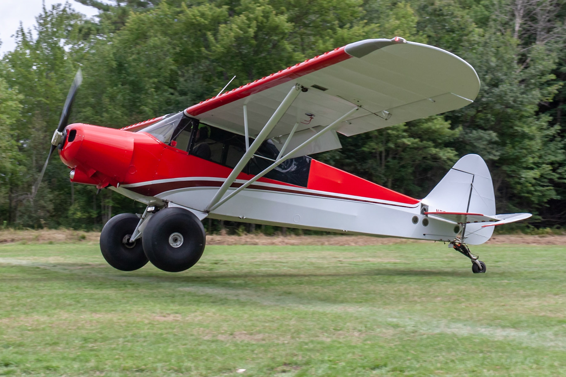 Denali Cub (N838A, c/n 83812017), winner of the STOL competition, at the 33rd annual Bowman Field (B10; Livermore Falls, ME) Fly-in on 2019-08-24.