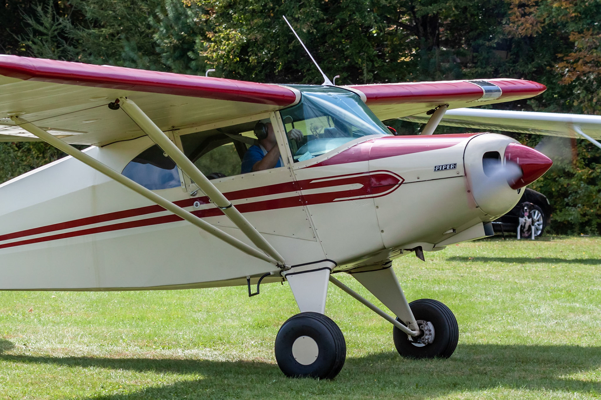 Piper PA-16 Clipper (N5640H, c/n 16-251) at the 2019 FALL-ow ME! Fly-in at Thompson Memorial Field (ME62; Pittsfield, ME) on 2019-09-28.