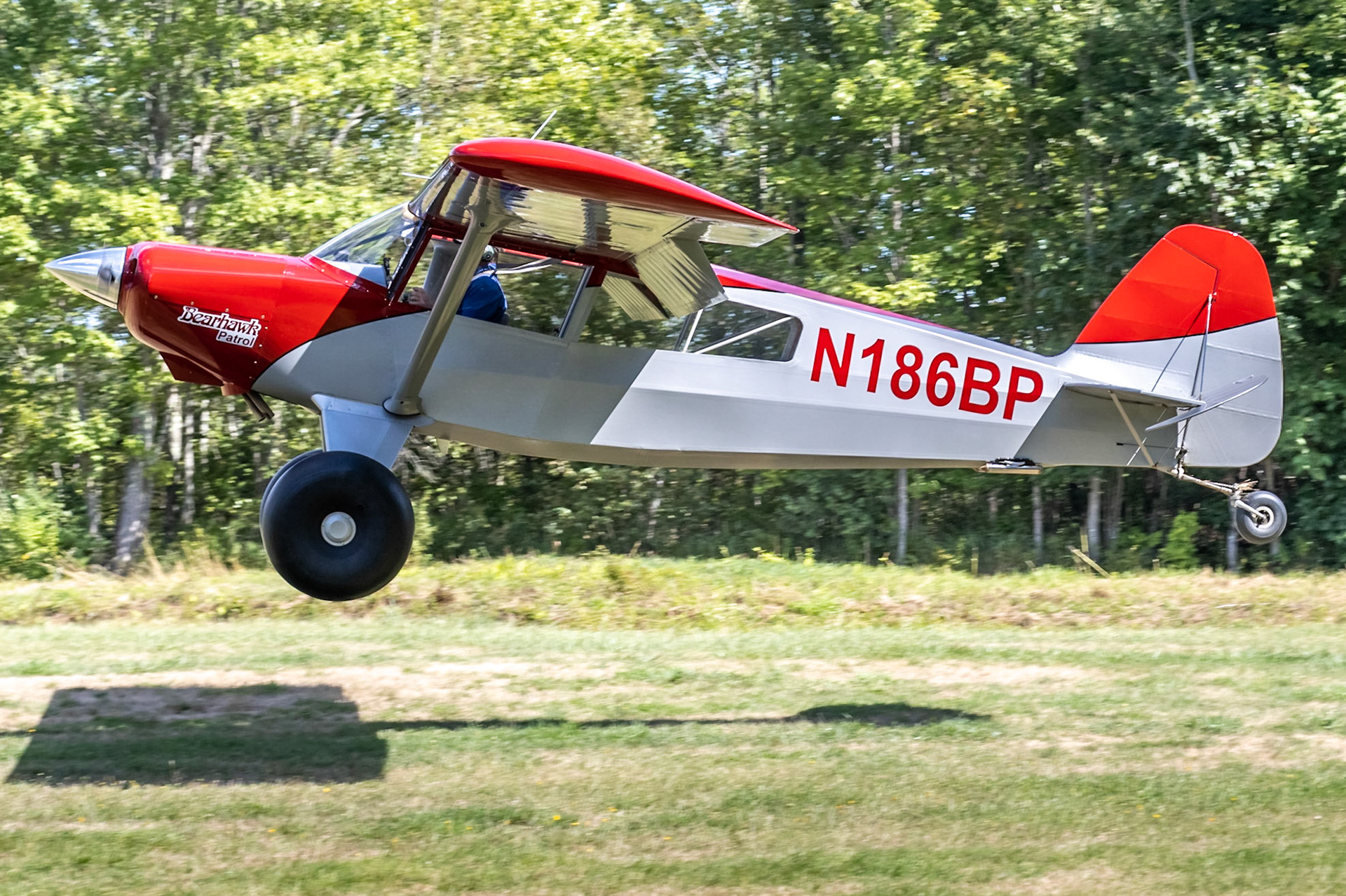 Bearhawk Patrol (N186BP, c/n P36-105P/106P) at the Bowman Field (B10) fly-in on 2022-08-27.