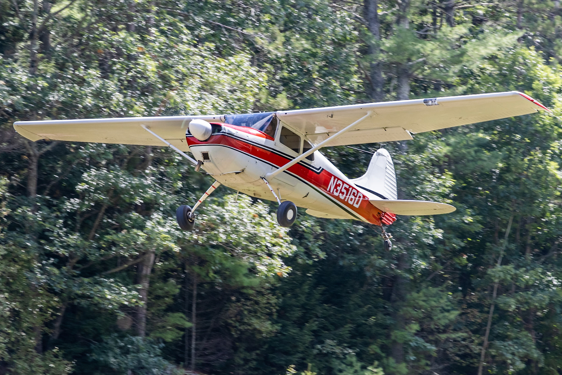 Cessna 170B (N3516D, c/n 27059) at the Bowman Field (B10) fly-in on 2022-08-27.
