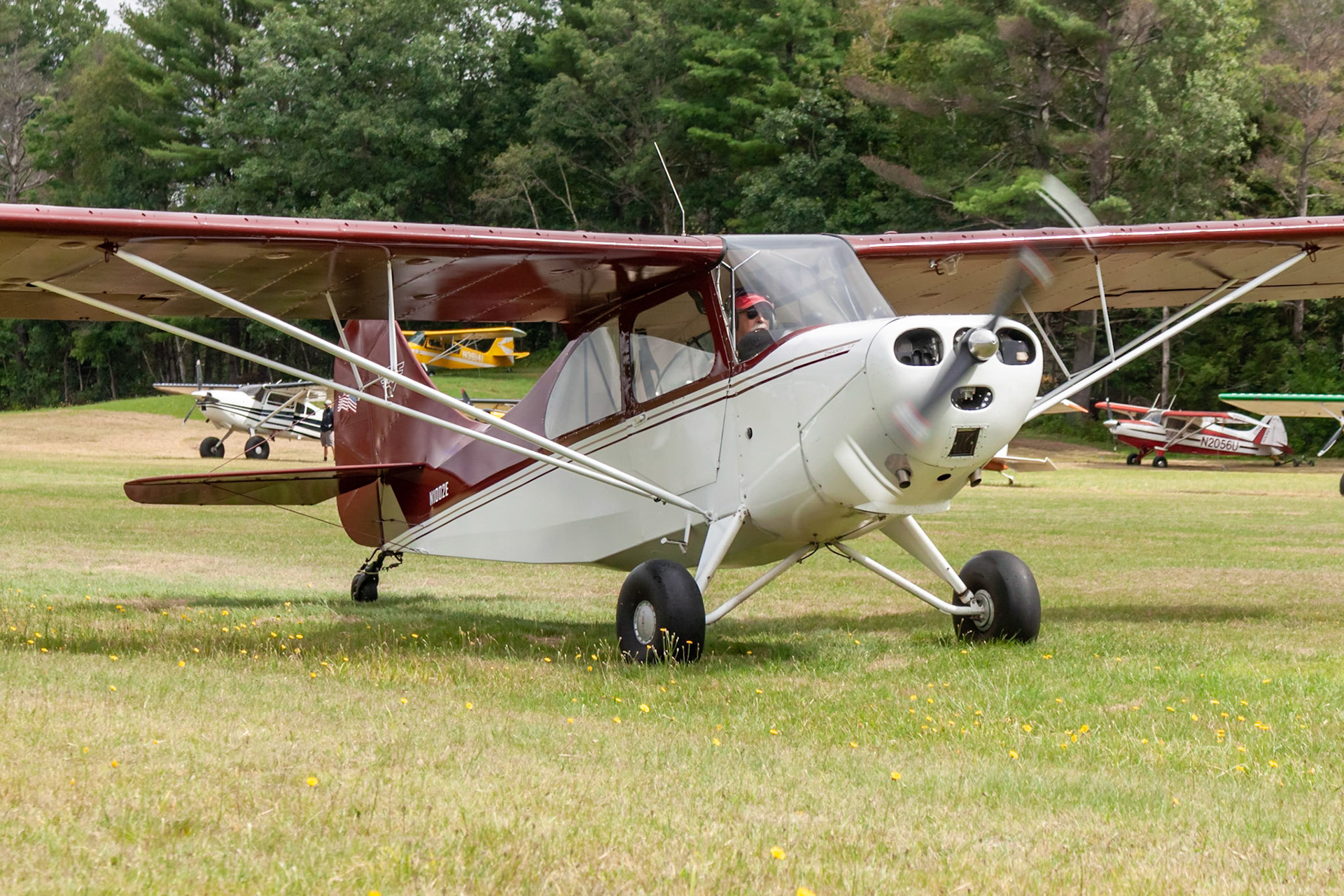 Aeronca 7AC Champion (N1002E, c/n 7AC-4552) at the 33rd annual Bowman Field (B10; Livermore Falls, ME) Fly-in on 2019-08-24.