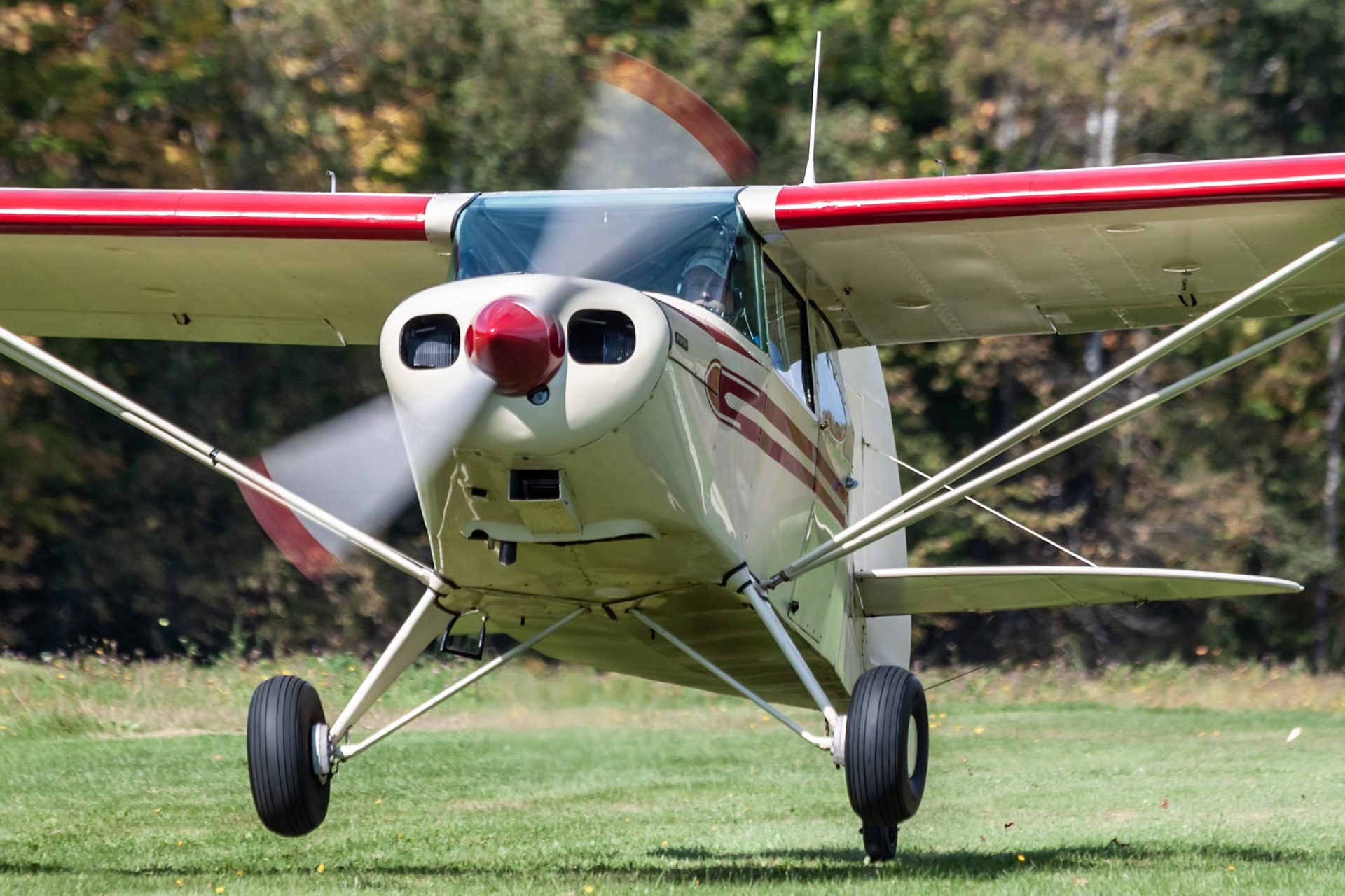 Piper PA-16 Clipper (N5640H, c/n 16-251) at the 2019 FALL-ow ME! Fly-in at Thompson Memorial Field (ME62; Pittsfield, ME) on 2019-09-28.