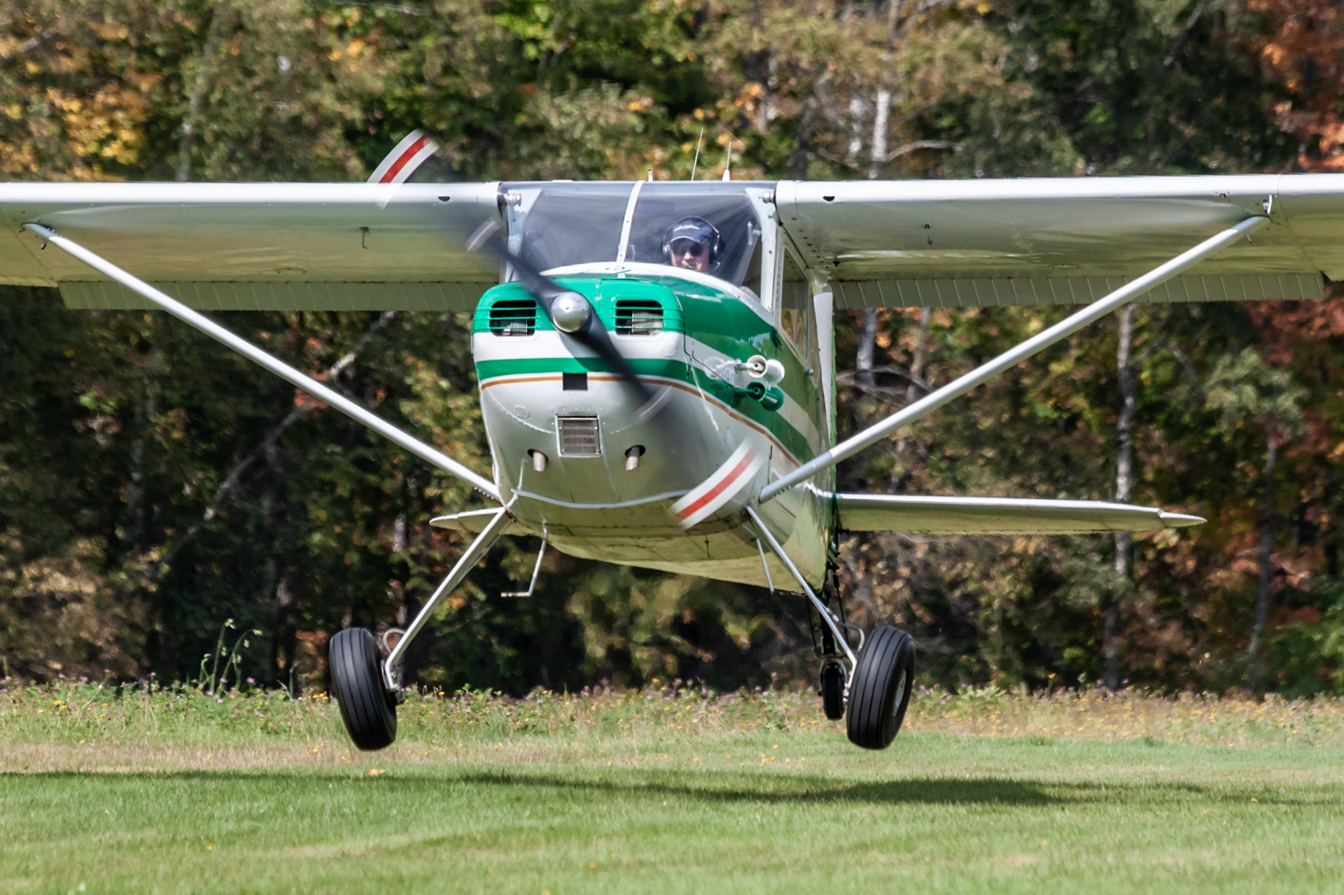 Cessna 170A (N5545C, c/n 19598) at the 2019 FALL-ow ME! Fly-in at Thompson Memorial Field (ME62; Pittsfield, ME) on 2019-09-28.