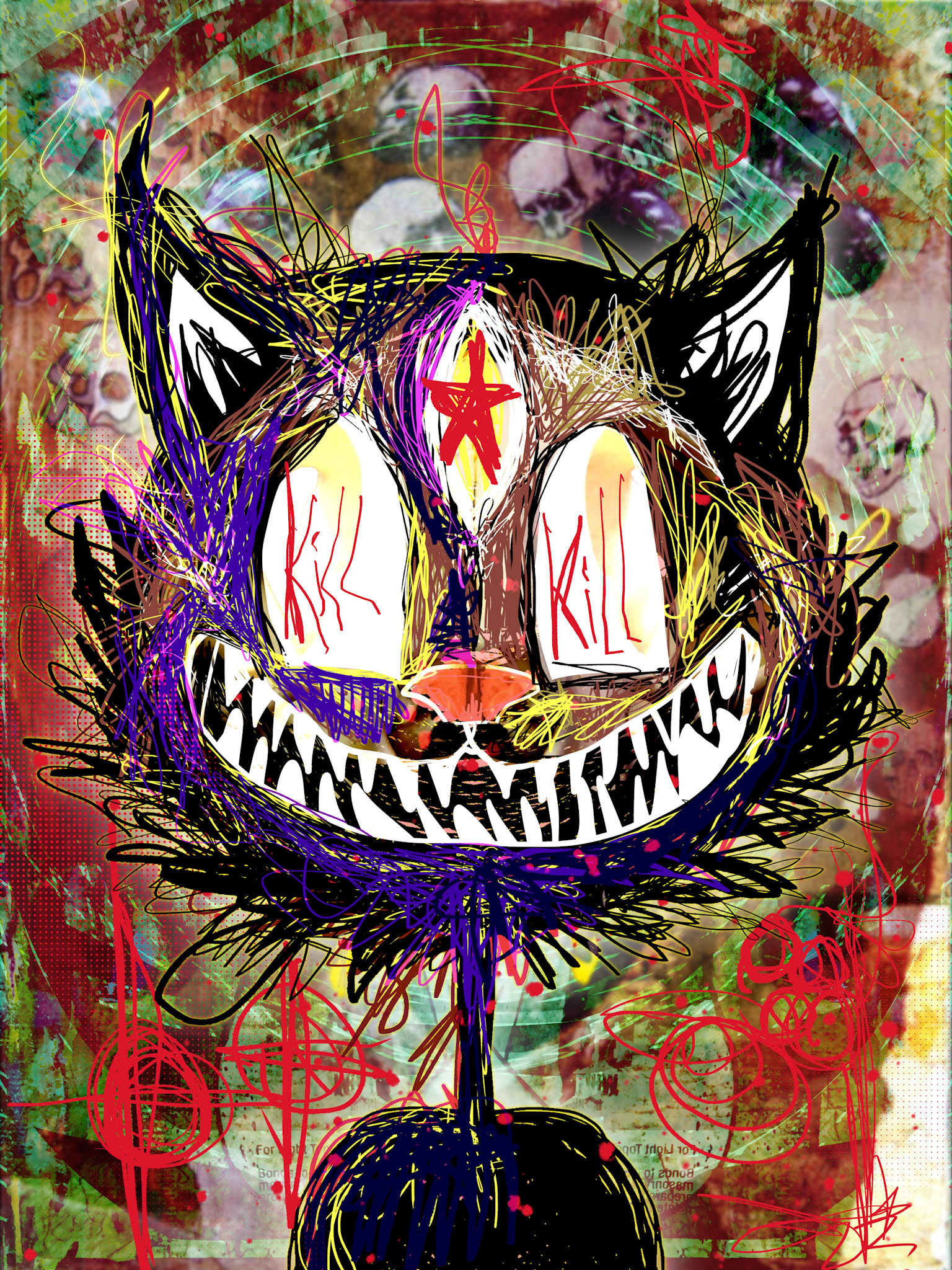 Killakee Cat
