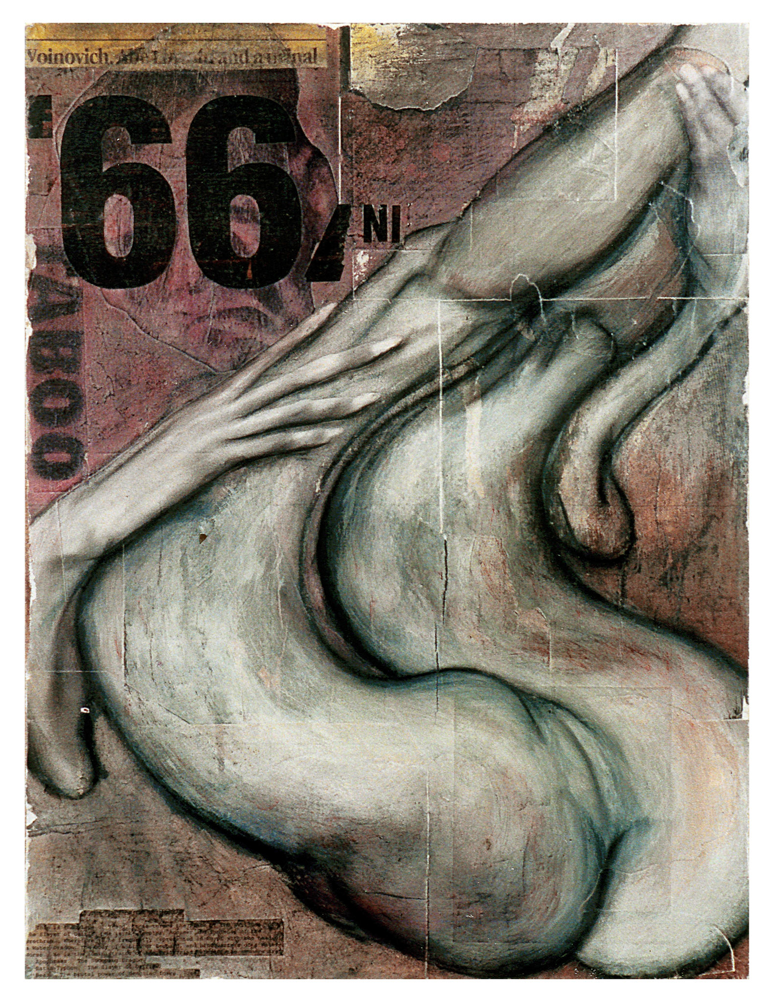 Taboo 66NI