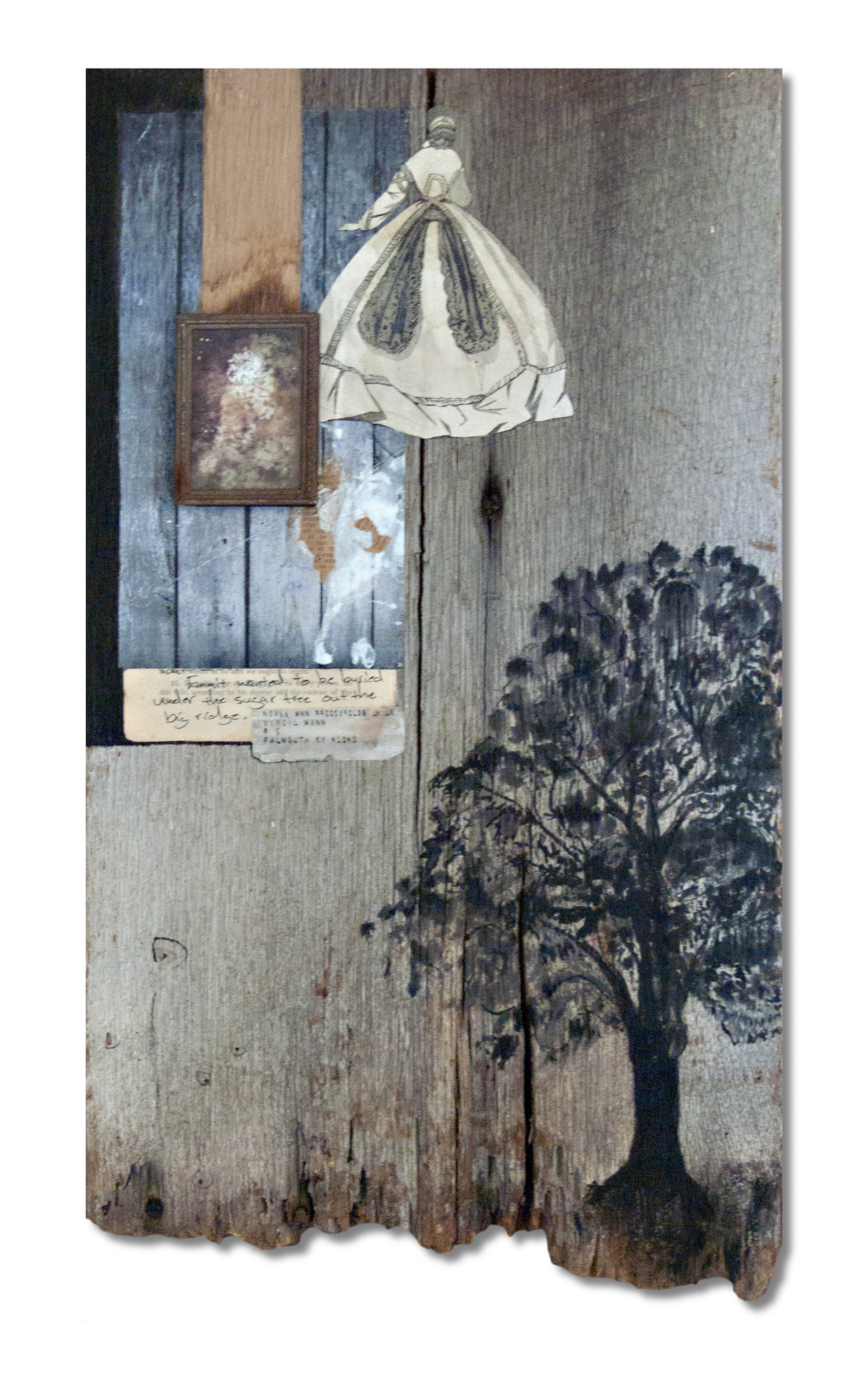 Sugar Tree