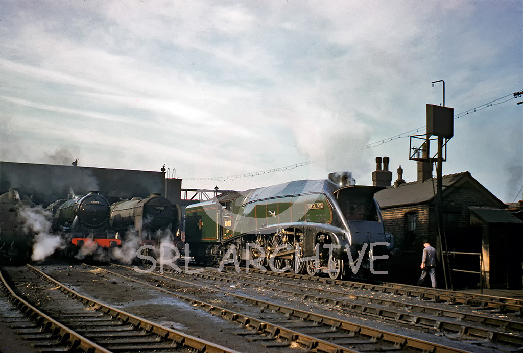 60017 'Silver Fox' along side another A4, A3 60103 'Flying Scotsman' A2/1 60508 Duke of Rothesay 1st November 1959 SRL No 32 