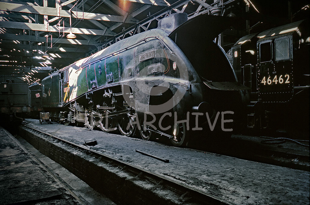 60027 'Merlin' inside the shed at Edinburgh St Margarets 18th April 1965 Trevor.B.Owen/SRL No 784 