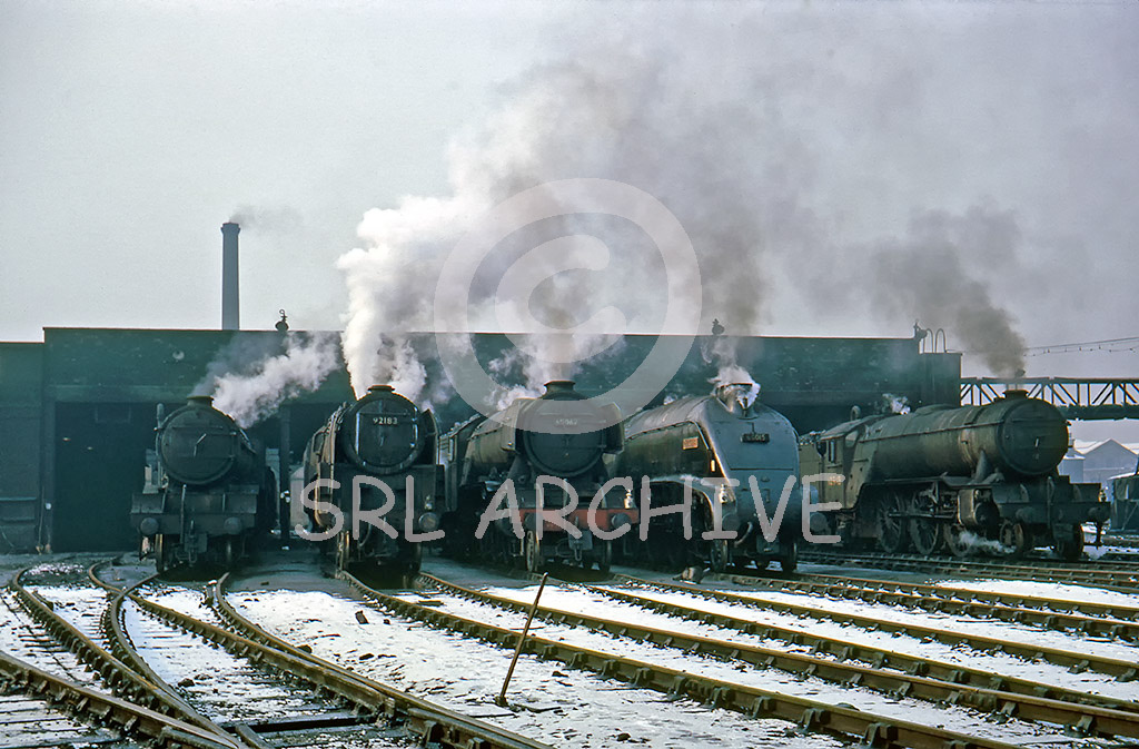 60062 'Minoru' in a spectacular line-up at Top Shed with 9F 92183, A4 60015 Quicksilver, V2 60948 in the winter of 1962 C.G.Parsons(USA photographer) SRL No 30 