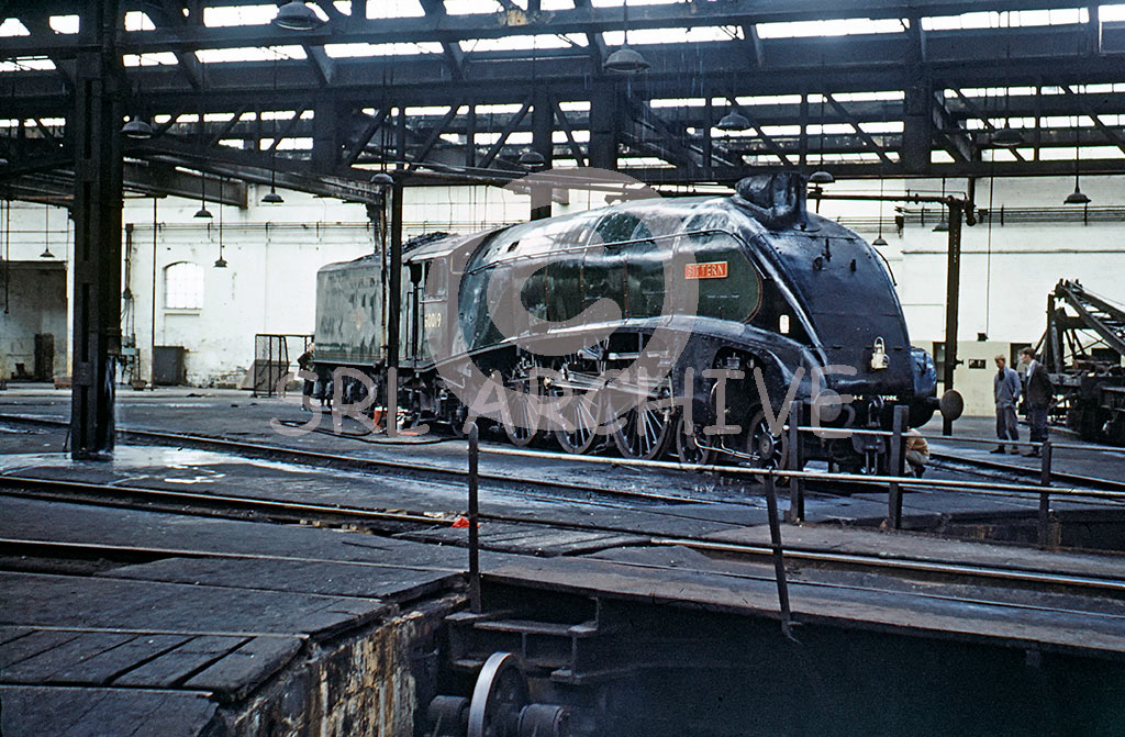 60019 'Bittern' inside York Roundhouse now in private ownership July 1967 SRL No 125 