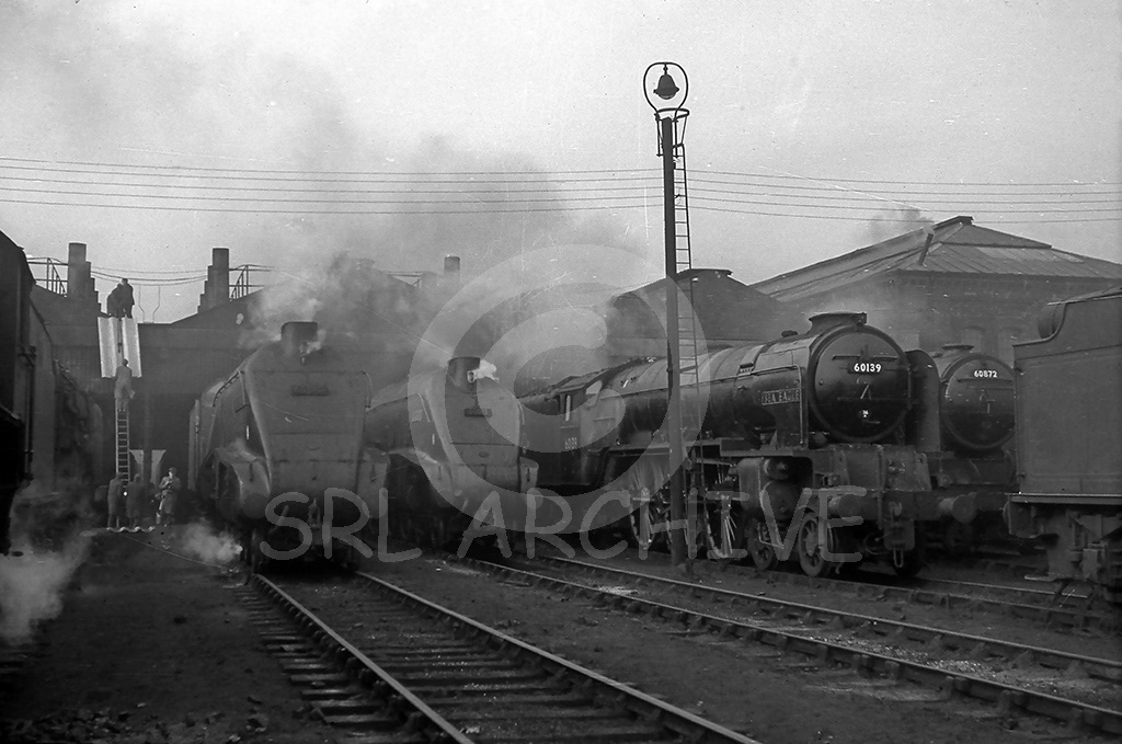 60139 'Sea Eagle' along side A4 60010 'Dominion of Canada' 60015 'Quicksilver' and V2 60873 outside Doncaster shed in 1958 John Feild/SRL No 344 