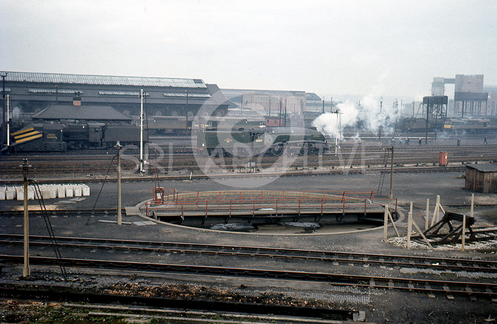 60019 'Bittern' at Derby after arriving from Crewe on the William Deacon Bank Club rail tour 6th March 1966 SRL No 354 