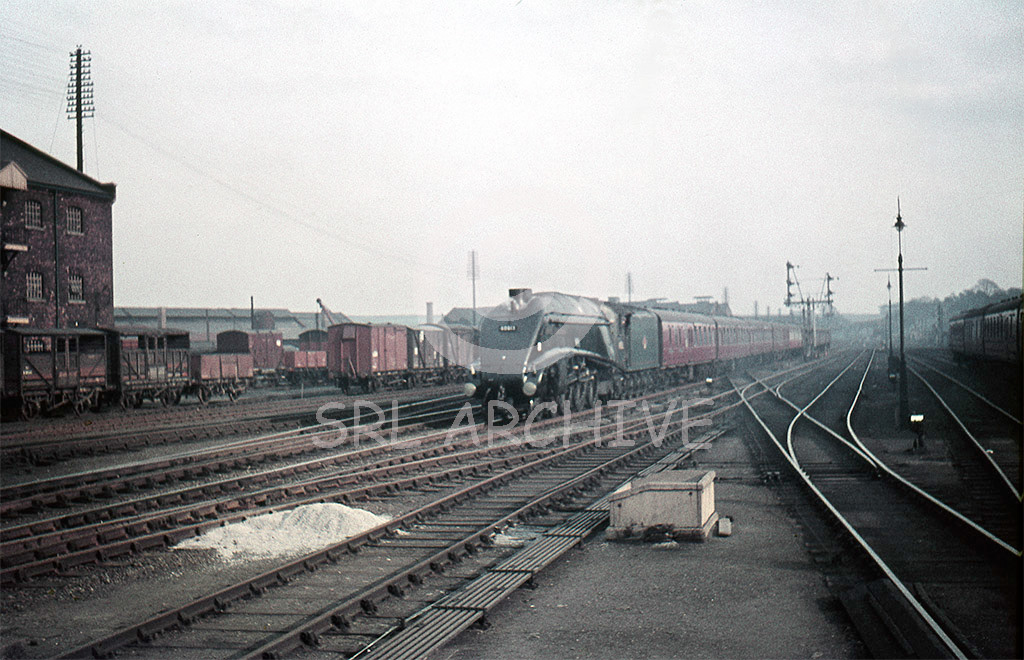 60013 'Dominion of New Zealand' with the chime whistle blowing on the approach to Grantham station 18th March 1962 SRL No 781 