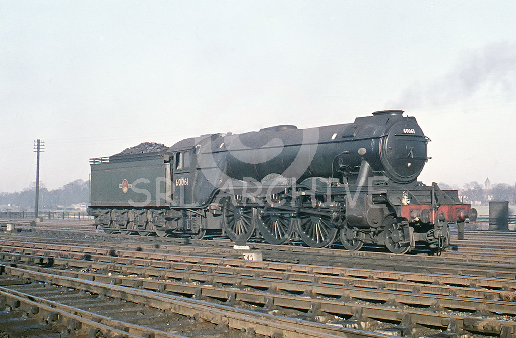 60061 'Pretty Polly' in the yard at York after arriving from London earlier in 1960 original GN coal rail tender, small wing deflectors and double chimney SRL No 67 