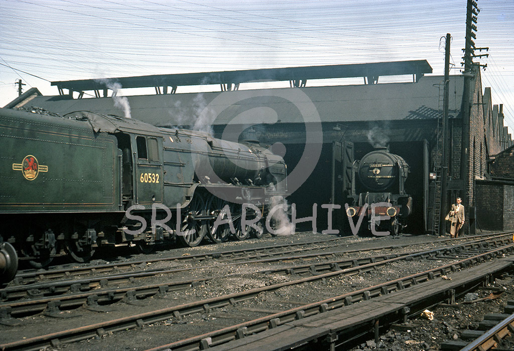 A wonderful shed shot of 60530 'Sayajirao' + 60532 'Blue Peter' at Dundee Tay Bridge June 1966 SRL No 517 