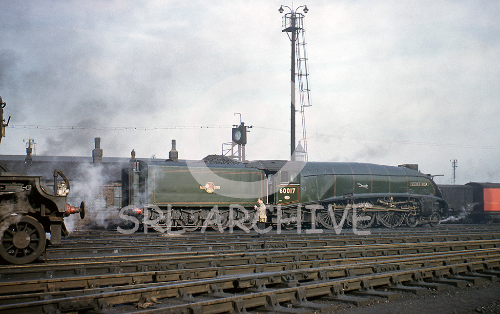 60017 'Silver Fox' on shed at Top Shed 1st November 1959 SRL No 33 